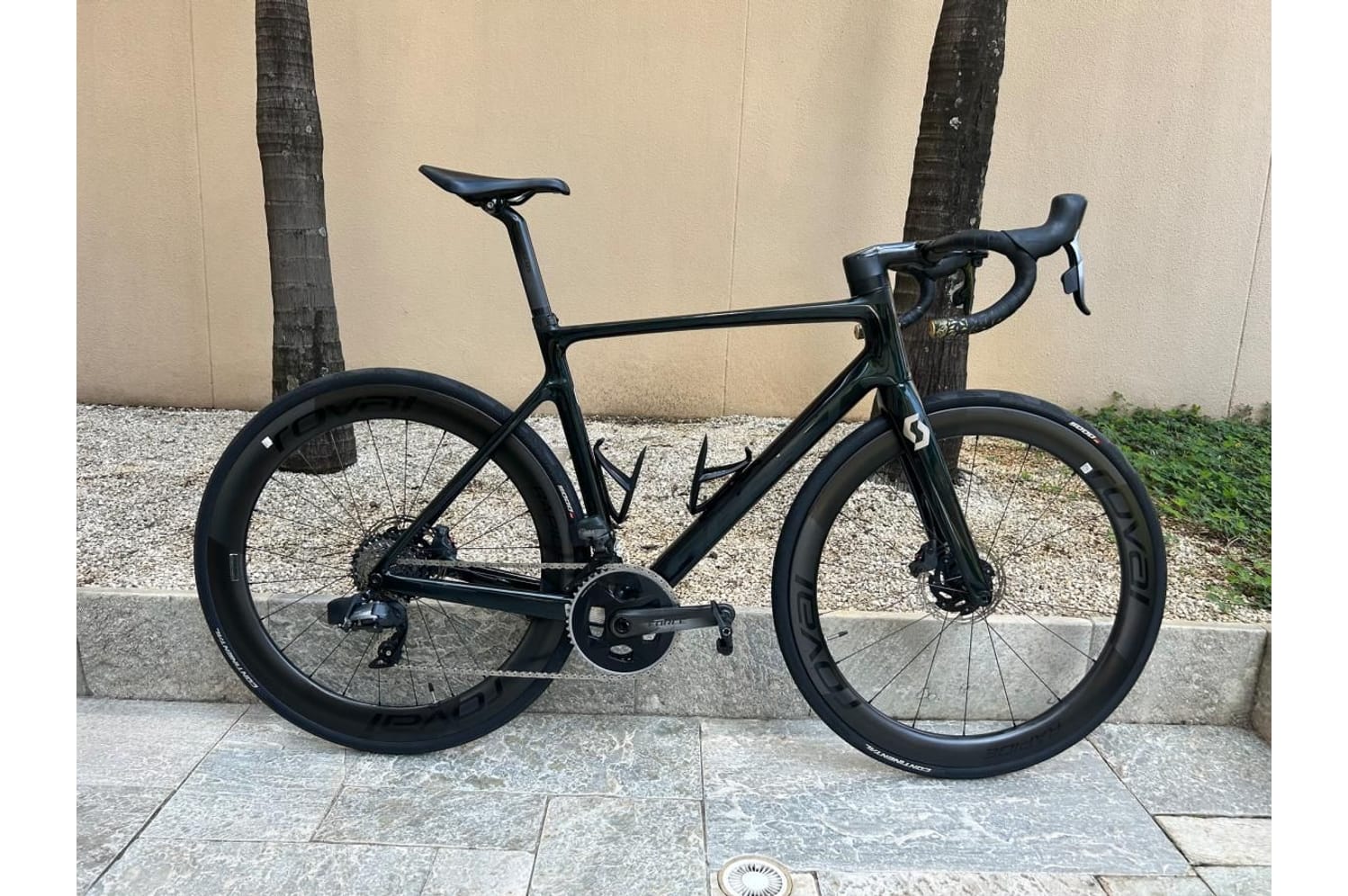 Semexe - Scott Addict RC 20 2020