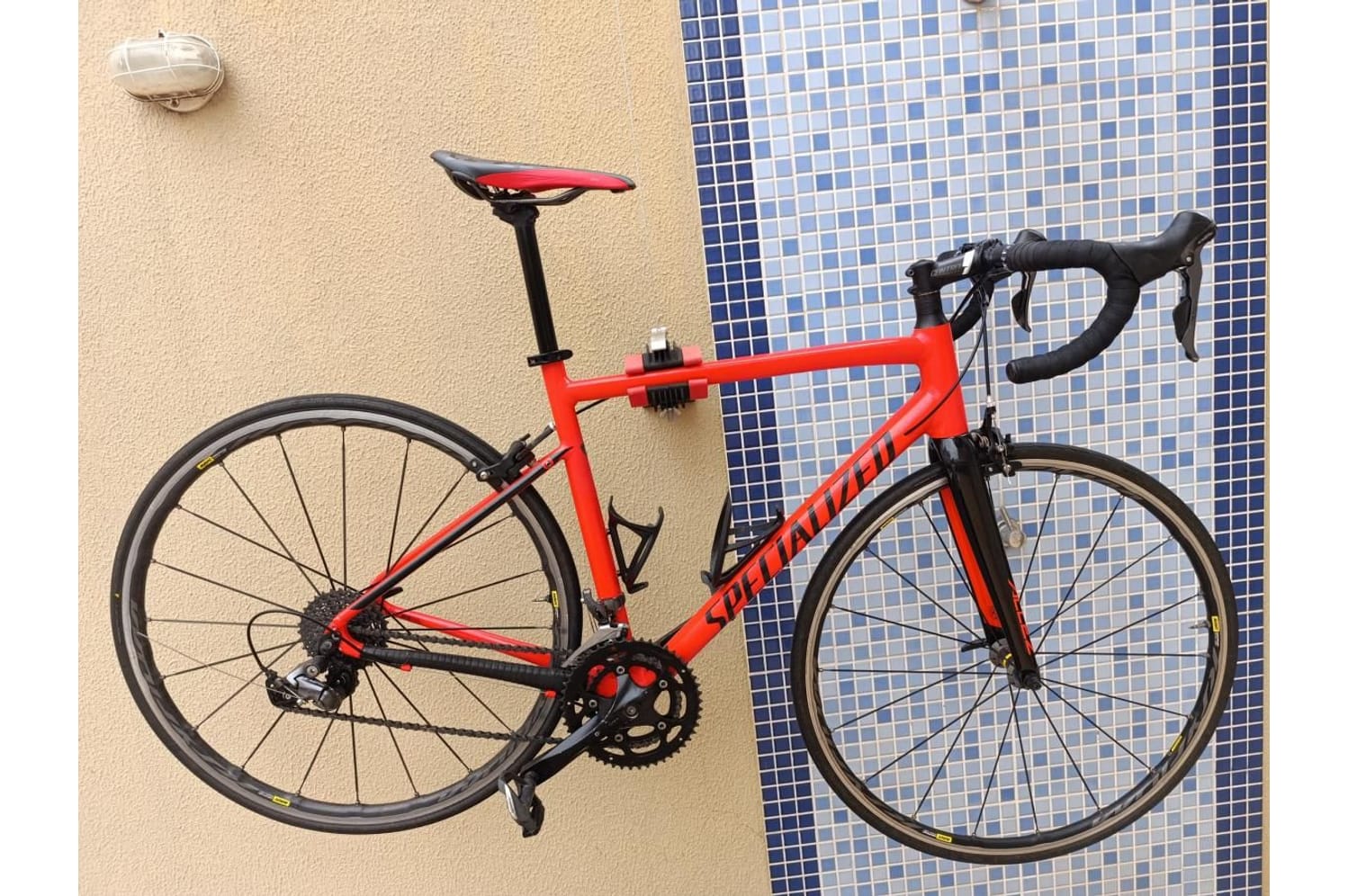 自転車本体 SPECIALIZED 2019 ALLEZ SPORT Bicicleta Specialized Allez Sport