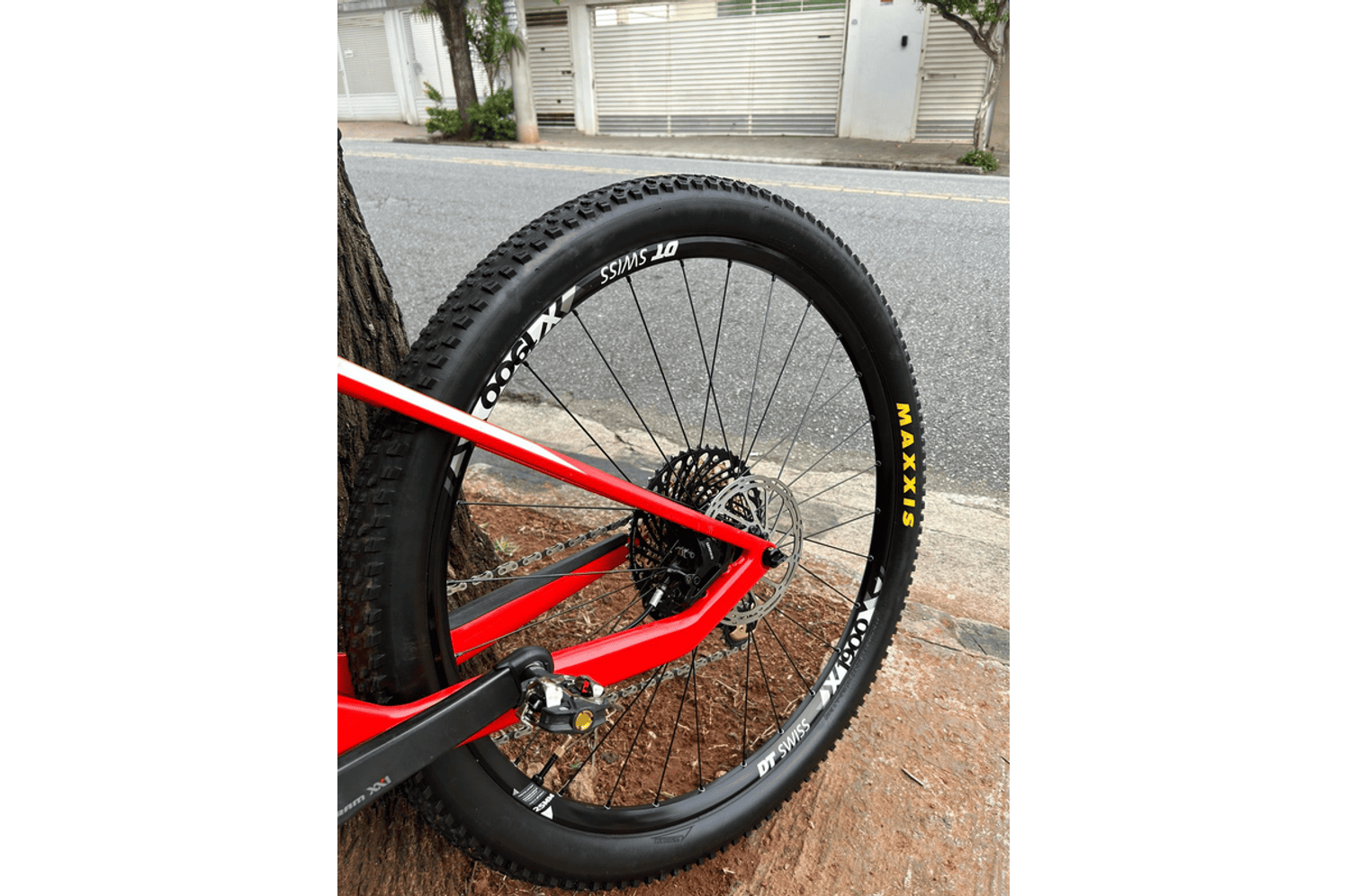 Semexe - Canyon Lux CF SL 2021