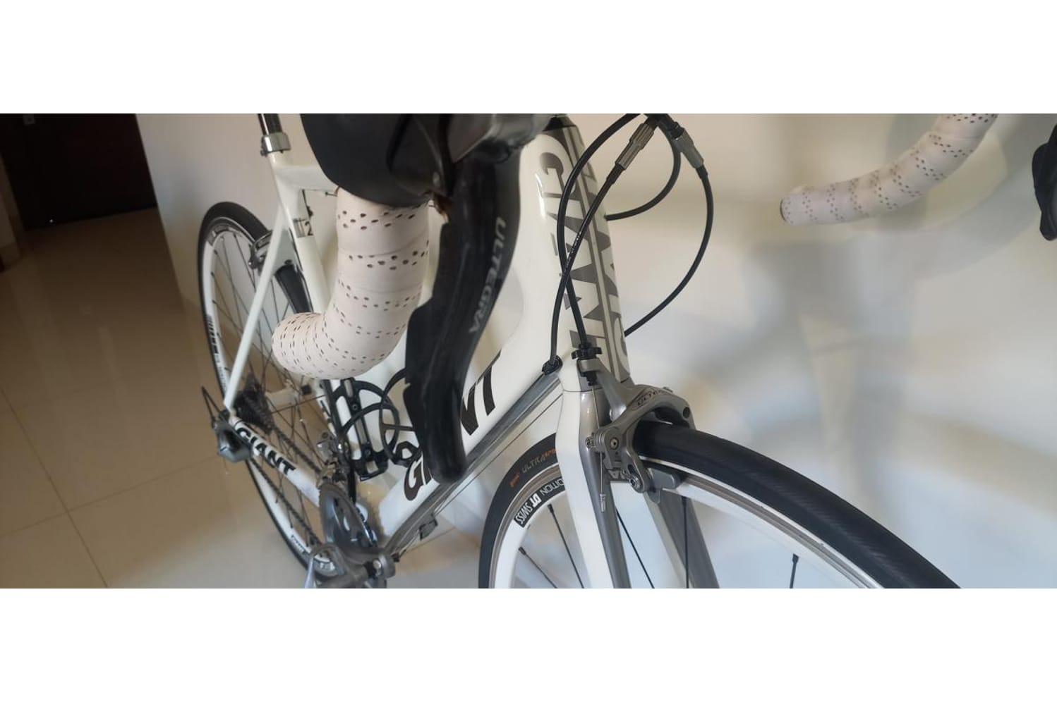 Semexe - Giant TCR ADVANCED 2011