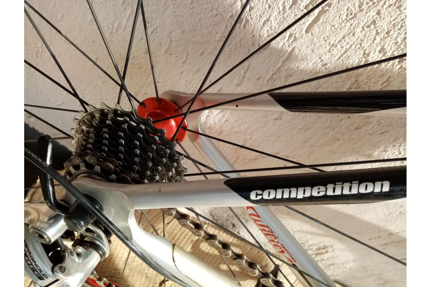 Semexe - Wilier Triestina Wilier Escape 2006