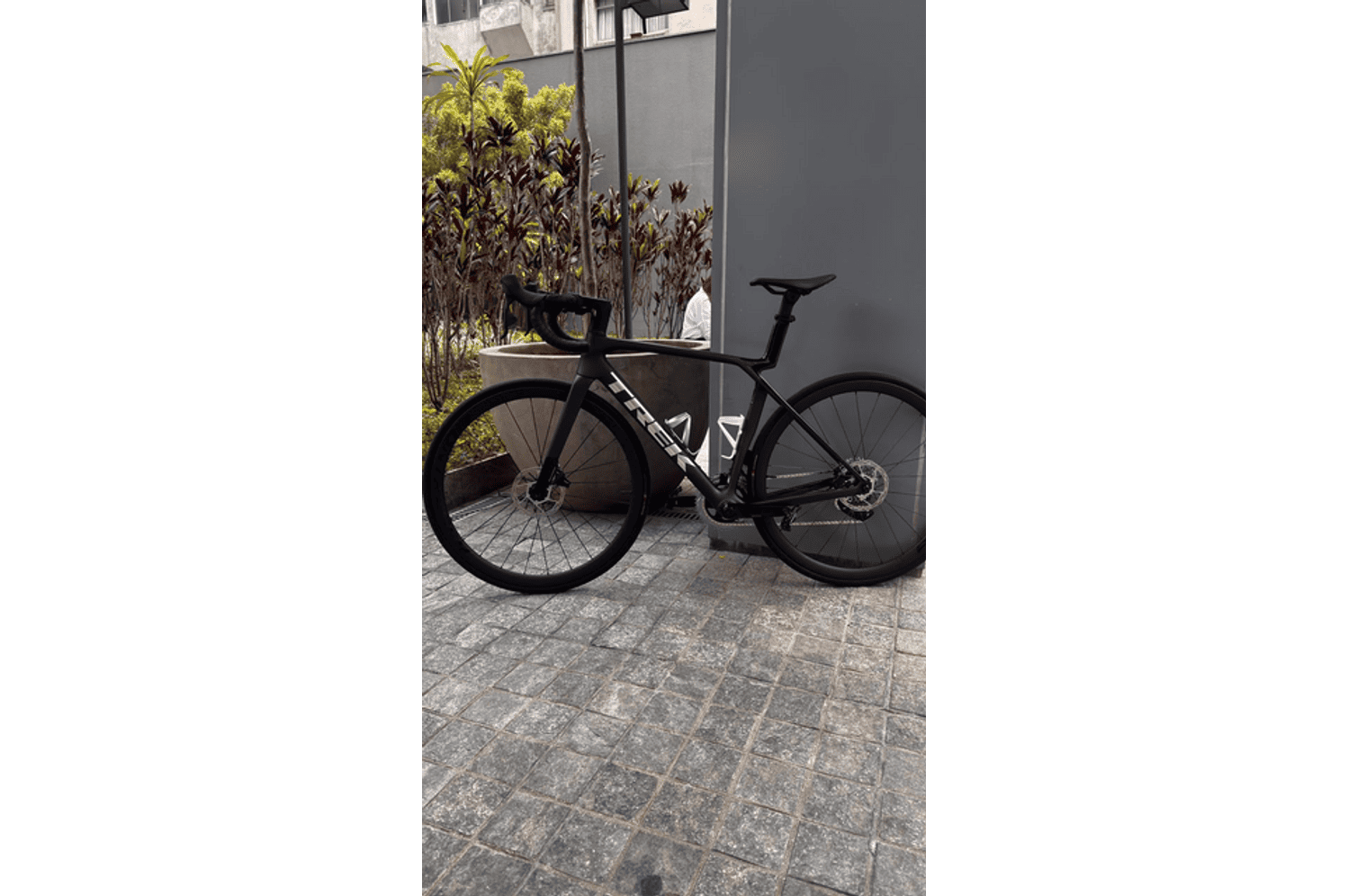 Semexe - Trek Madone SL 6 AXS 2025