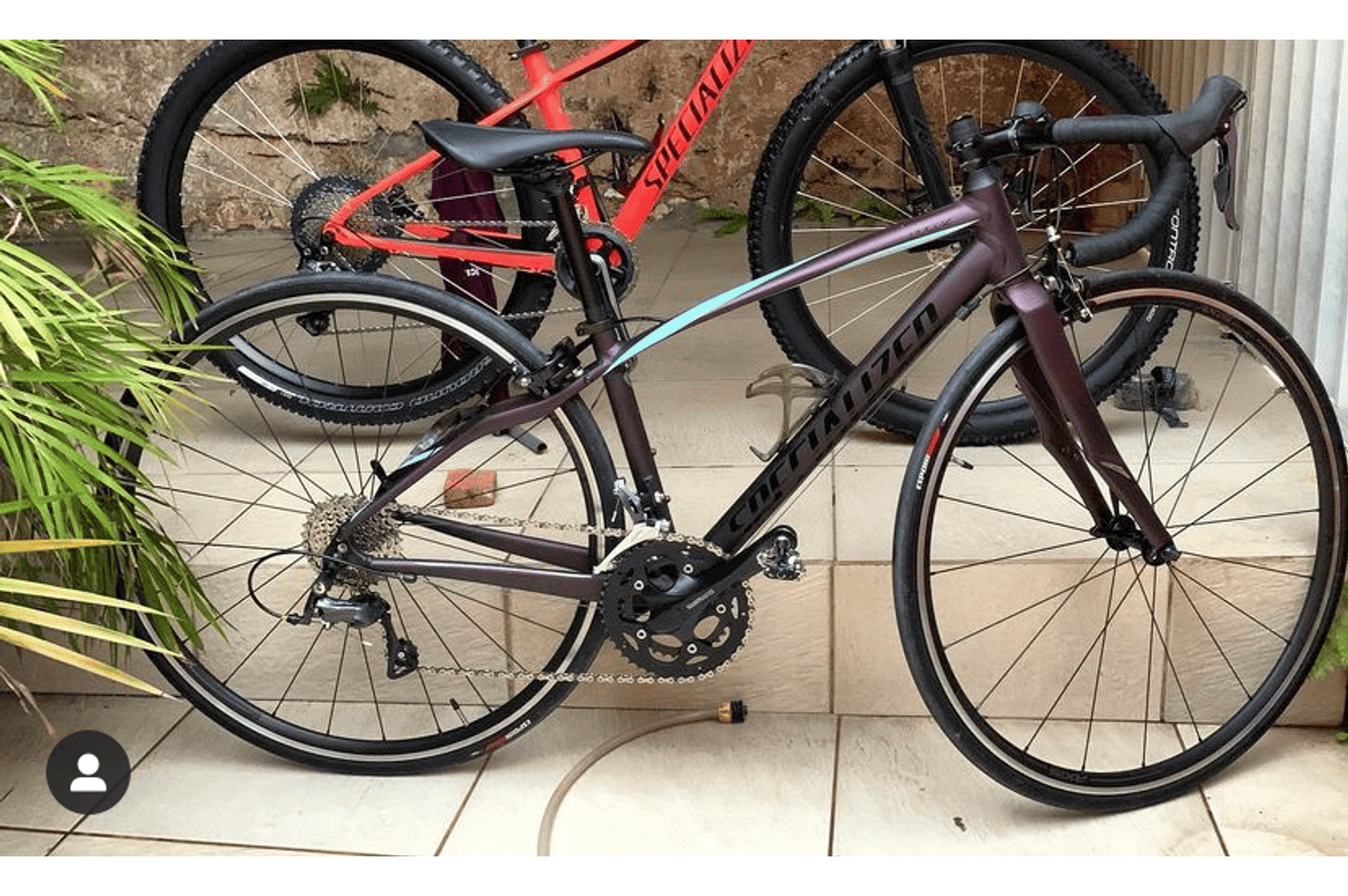 Semexe - Specialized Dolce 2019