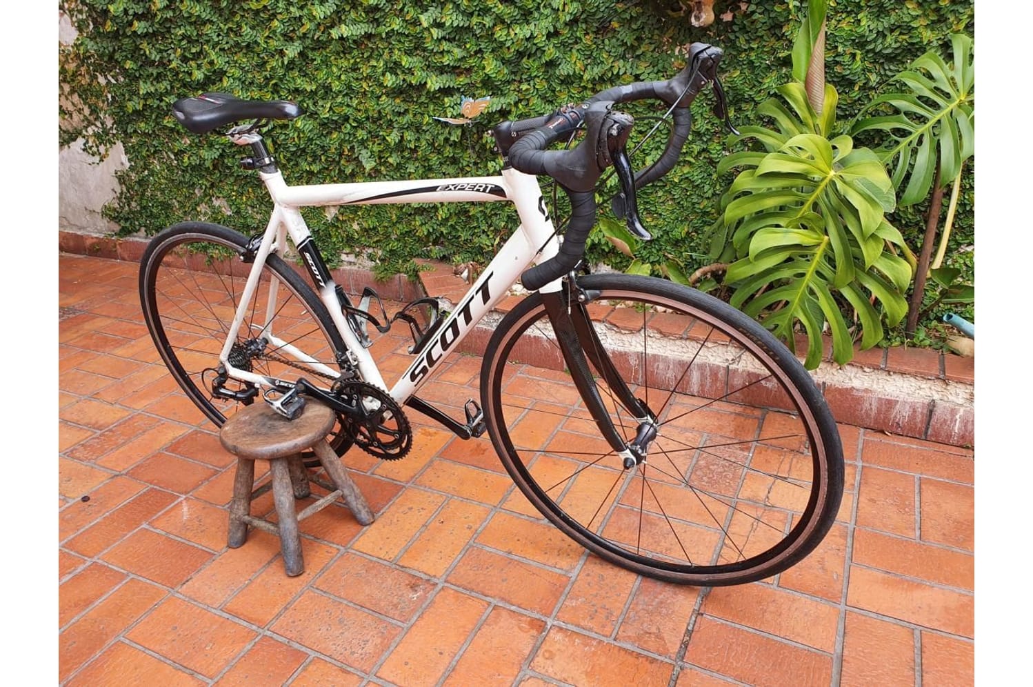 Semexe - Scott Sportster 50 2015