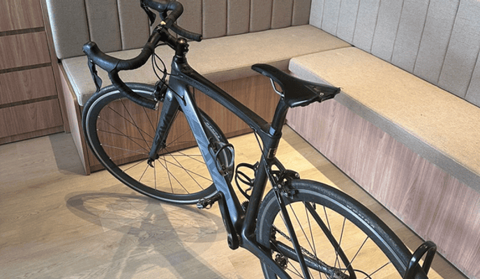 Semexe - Trek Domane AL 3 2020