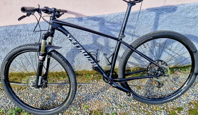 Semexe - Specialized Fat Bike personalizada 2024