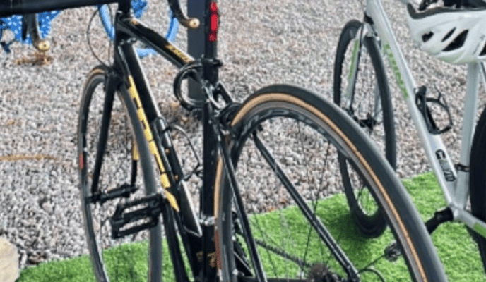 Semexe - Trek Domane AL3 Disc 2021