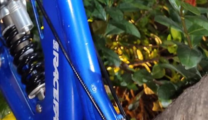 Semexe - Trek Slash 8 2021