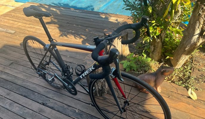 Semexe - Trek Domane AL 2 2018