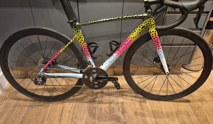 Semexe - Canyon Endurace AL Disc 7.0 2019