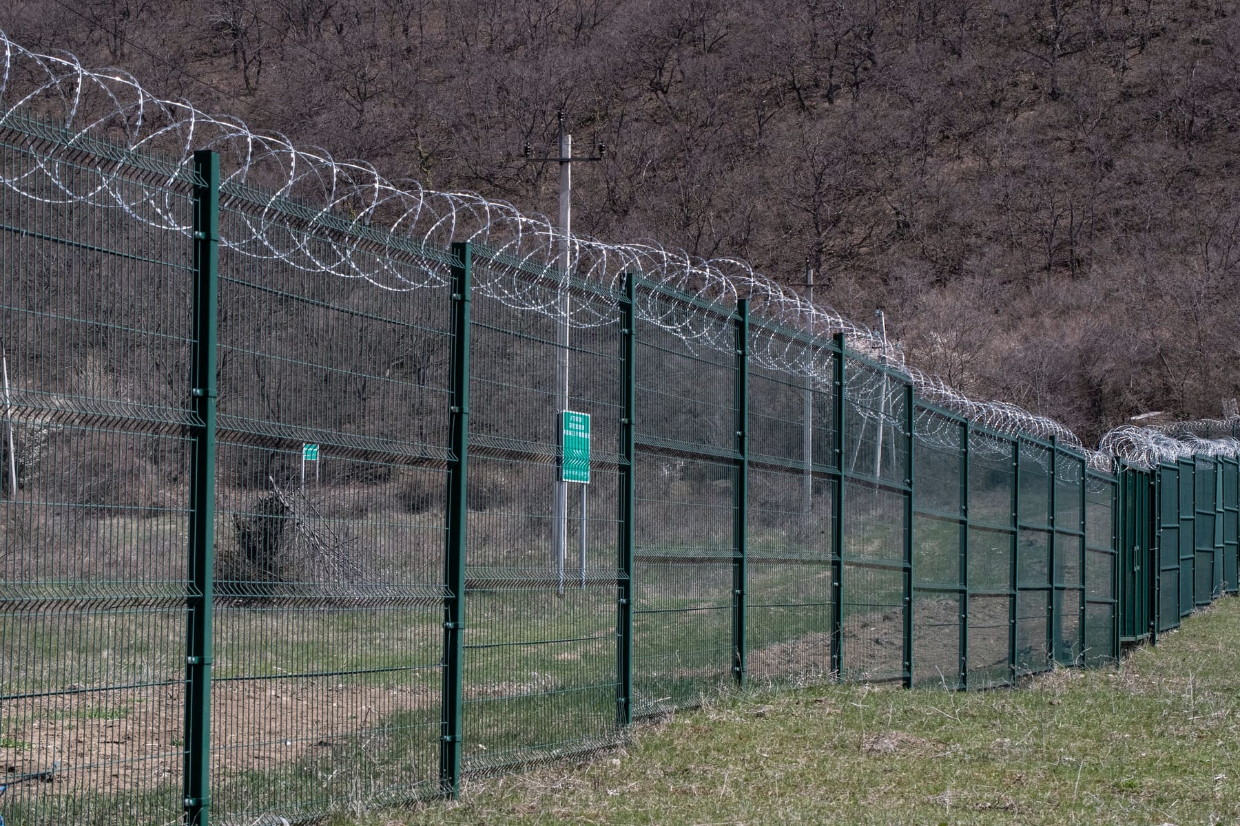 Borderization 06
