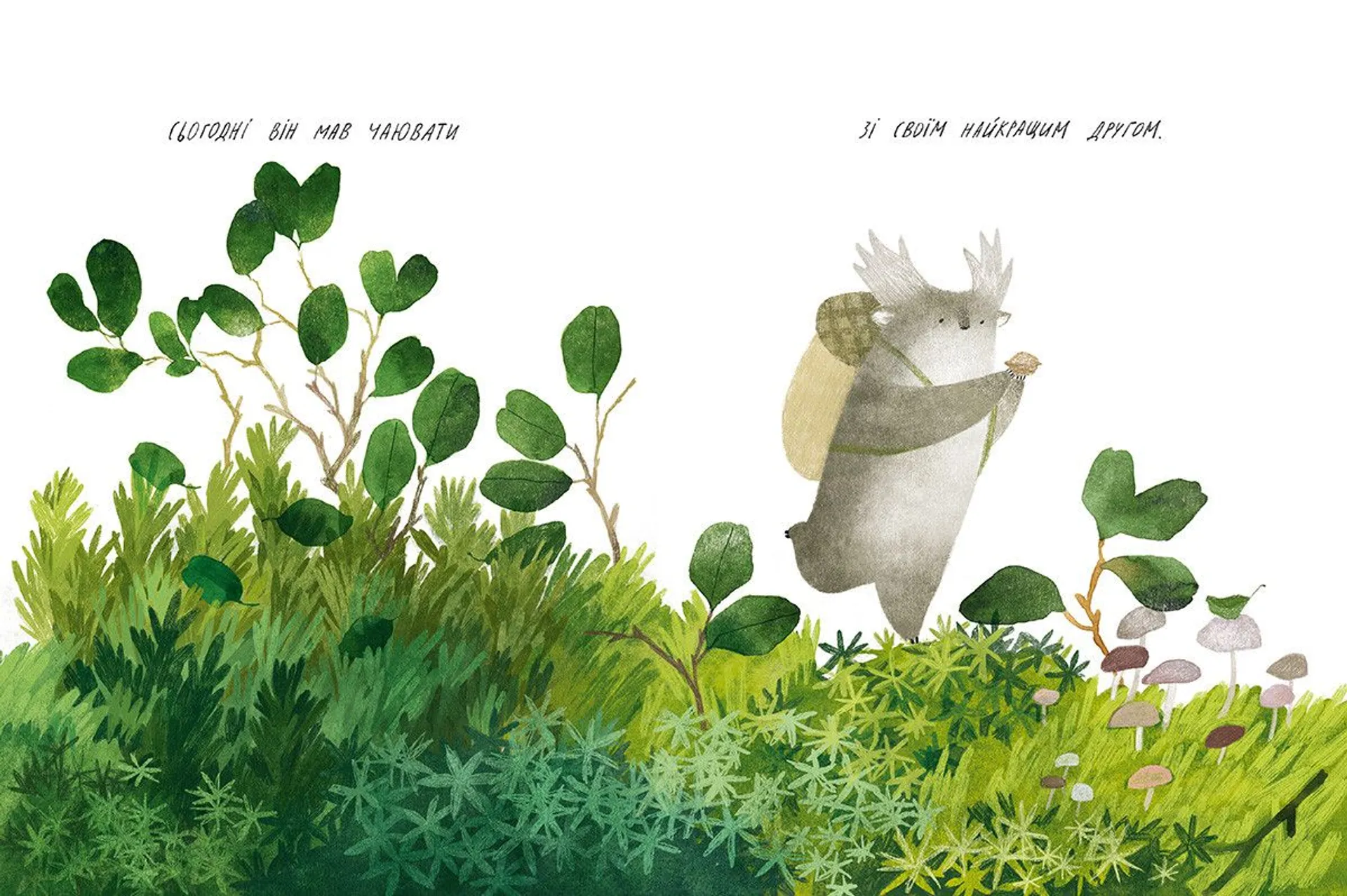 Туконі - мешканець лісу