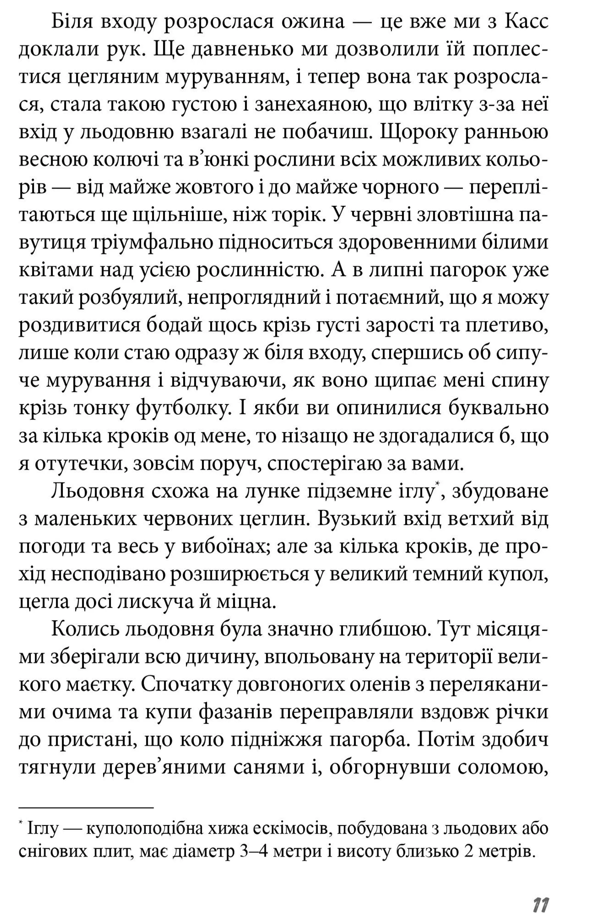 Позаду льодовні