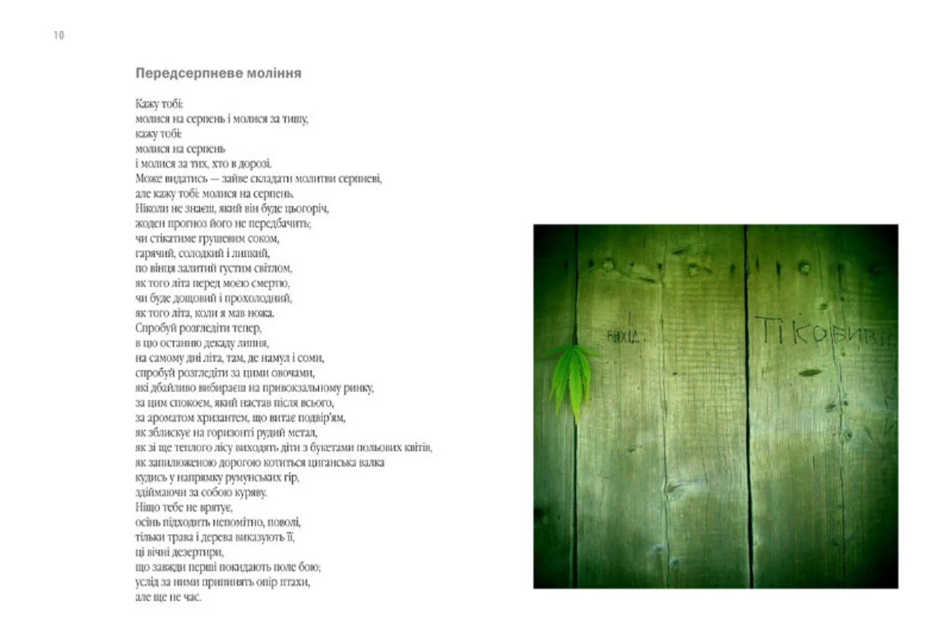 Пожертва на світло