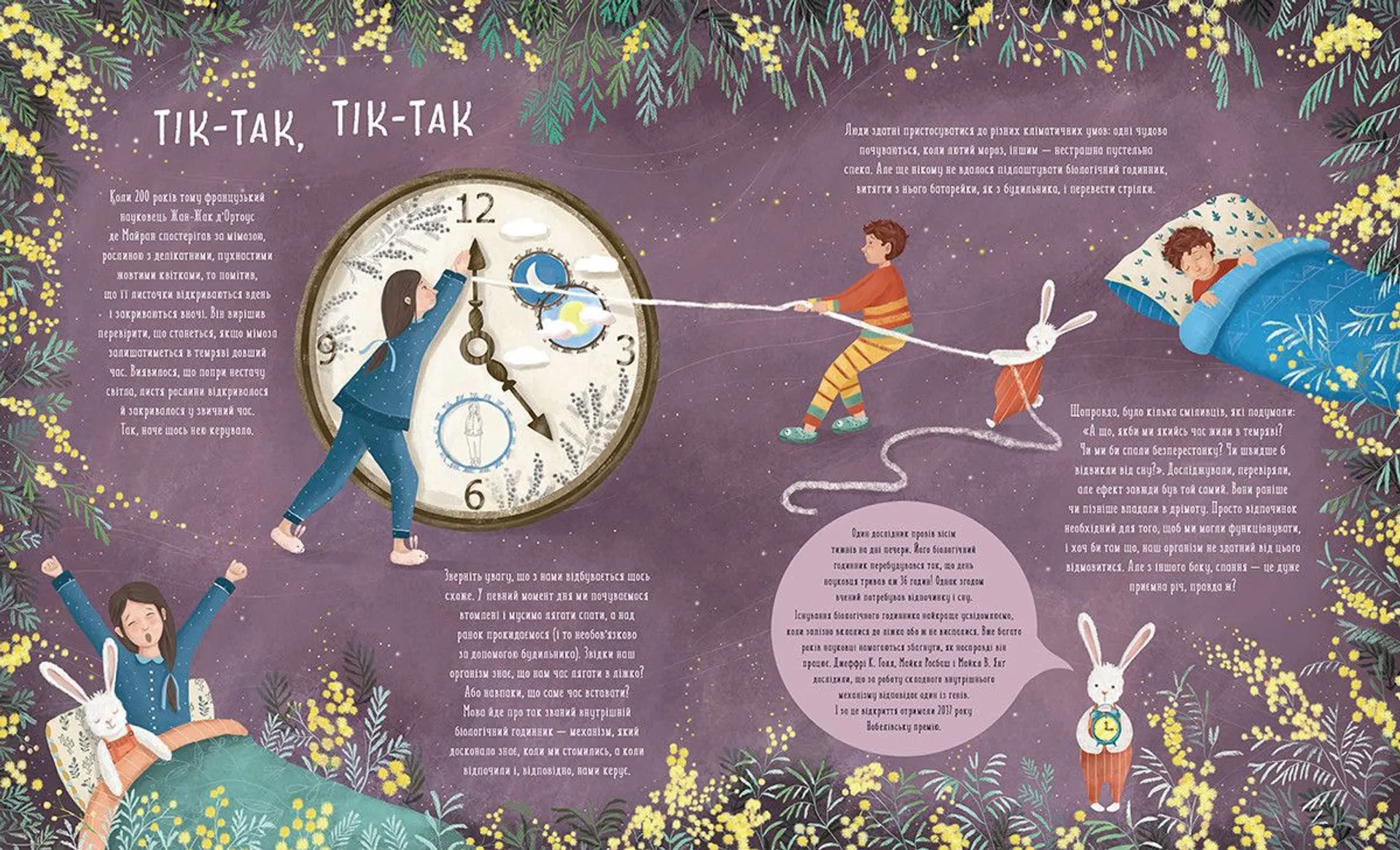 Коли настає ніч