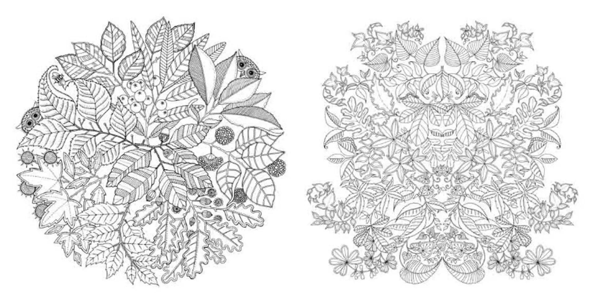 Чарівний сад