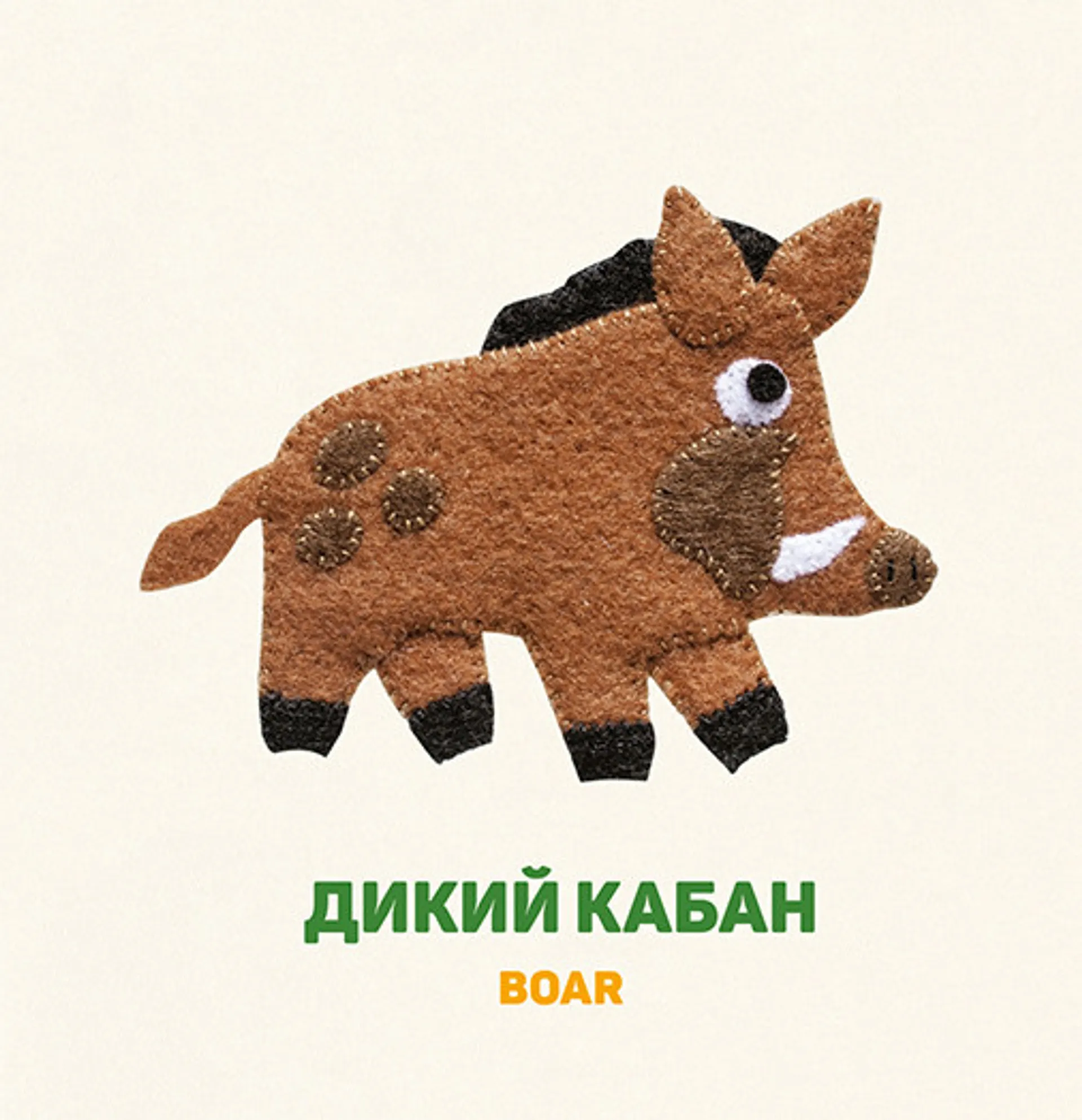 Лісові звірі. Forest animals