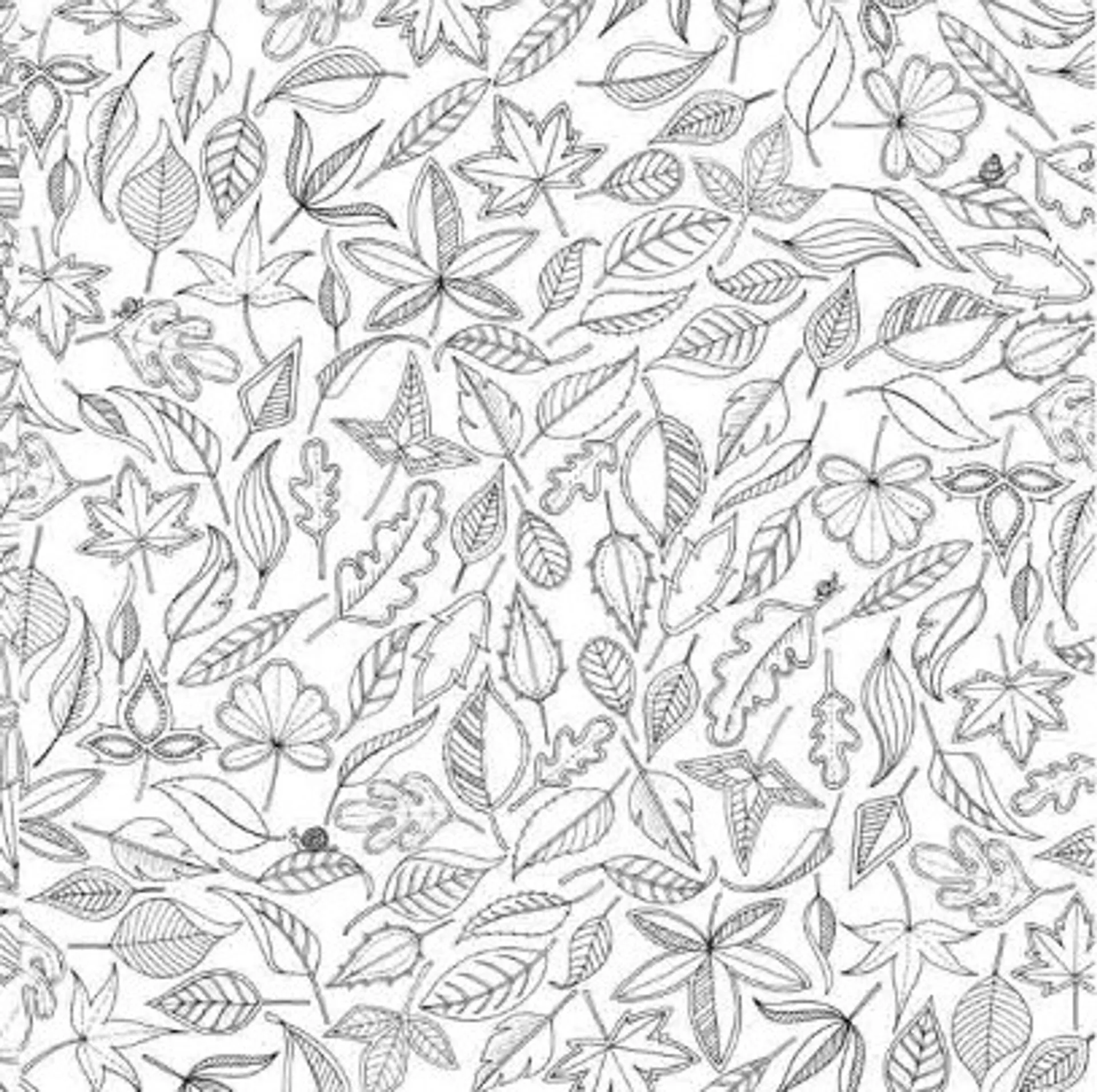 Чарівний сад