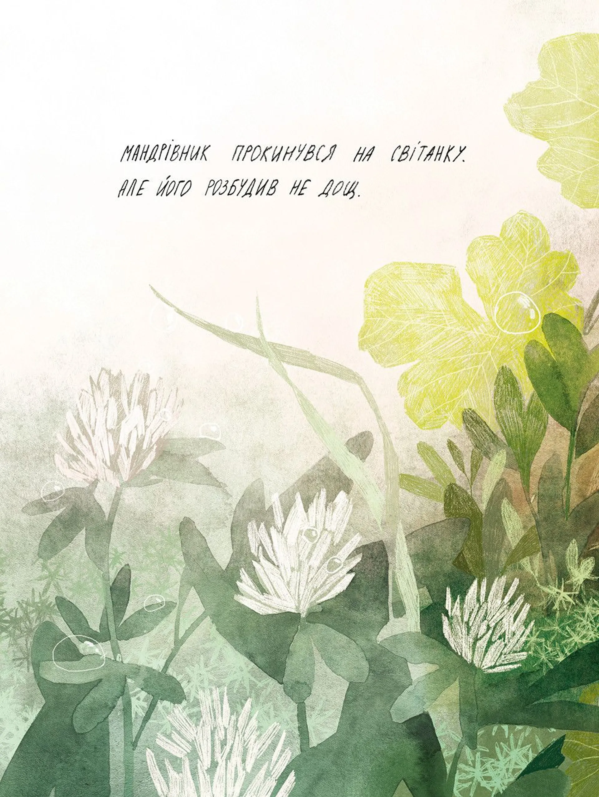 Туконі - мешканець лісу