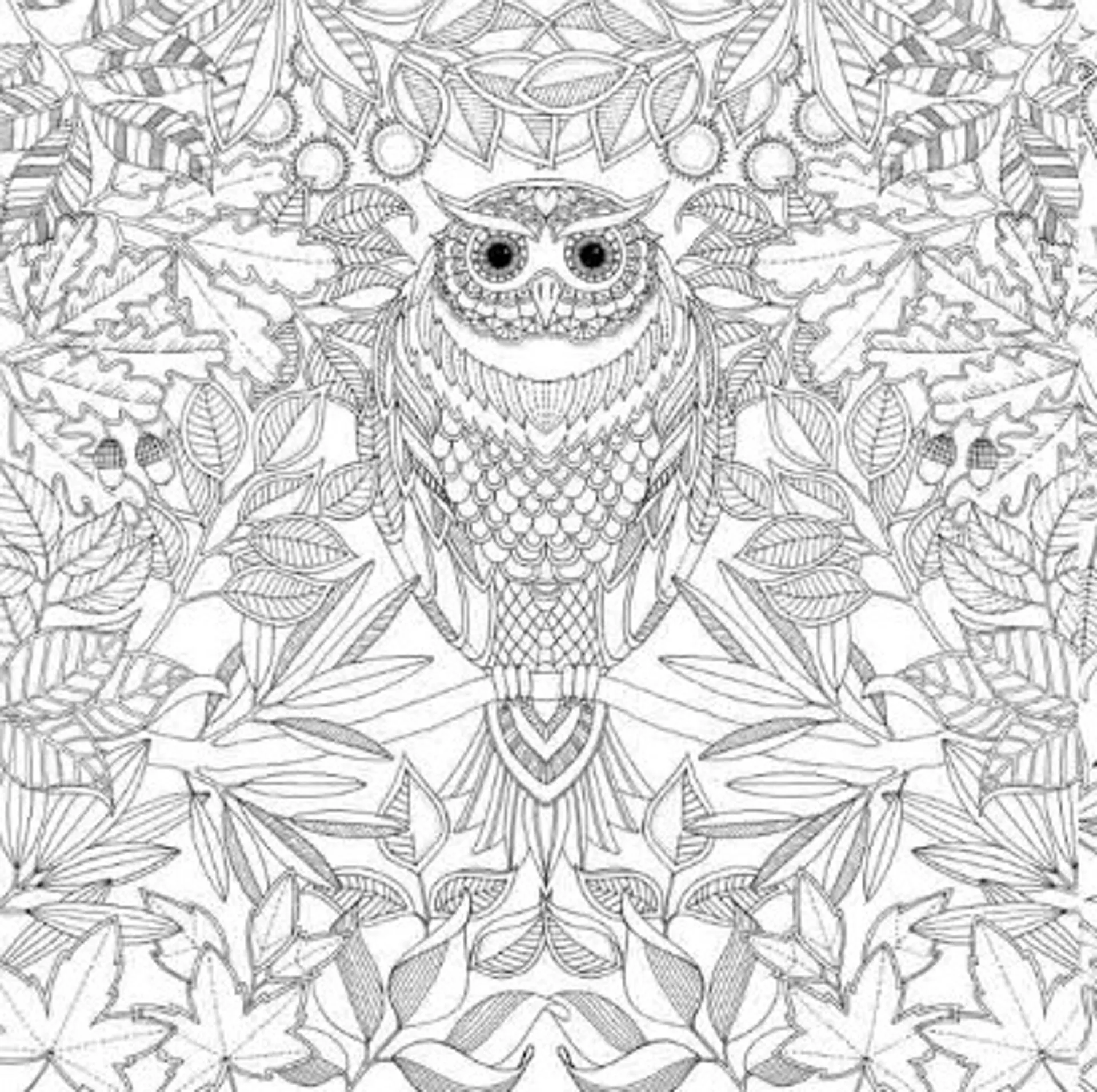 Чарівний сад