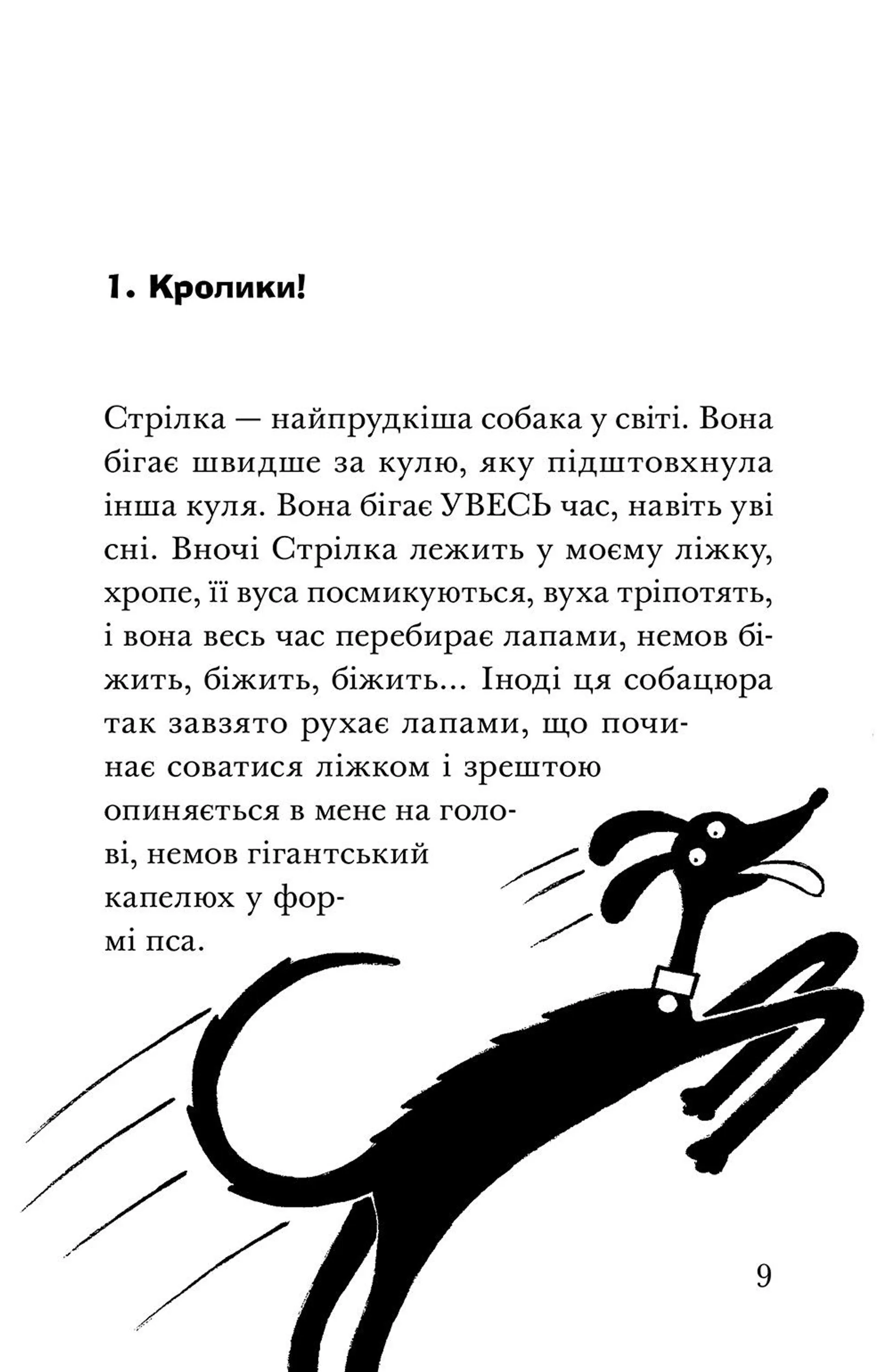 Ракета на чотирьох лапах під прикриттям. Книга 4