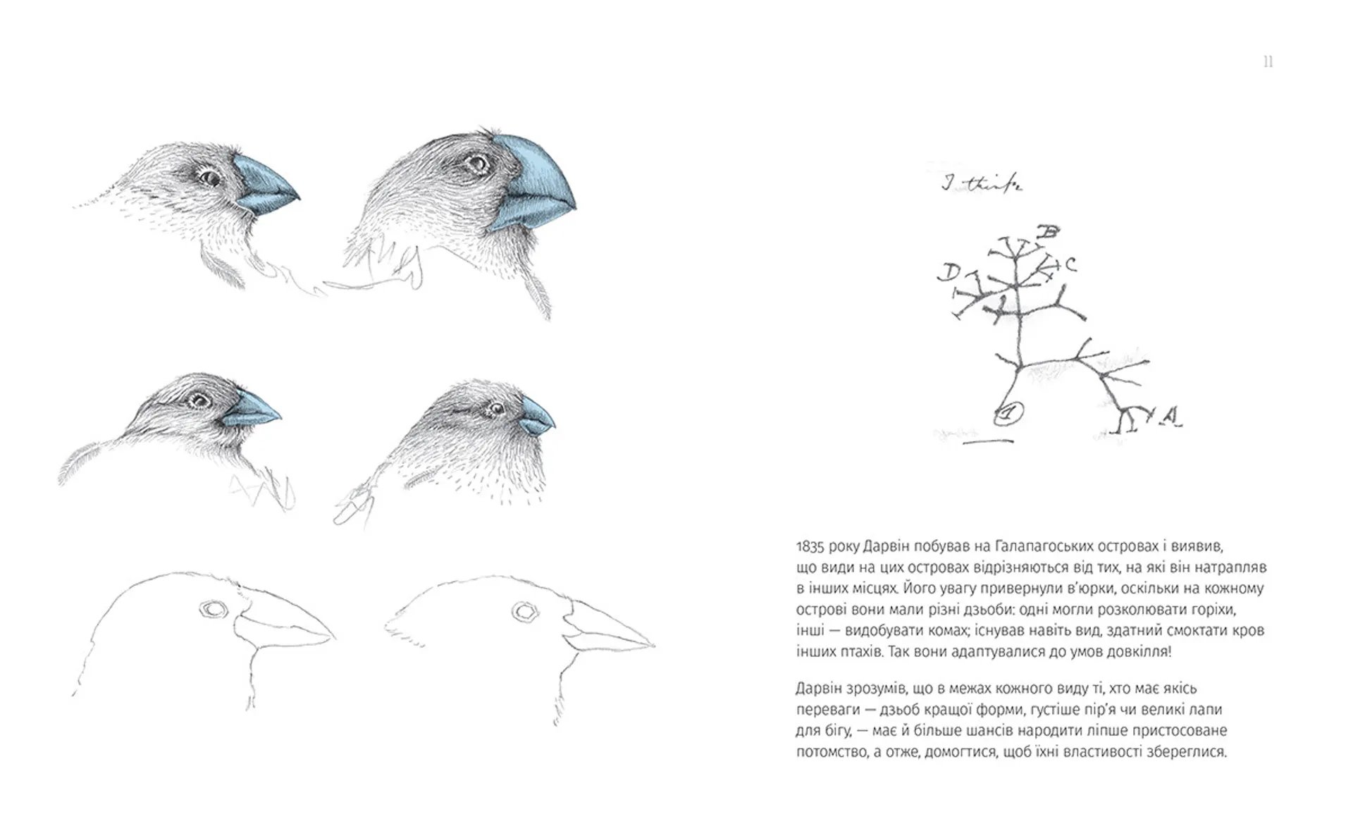 Однакові чи різні? Геноміка