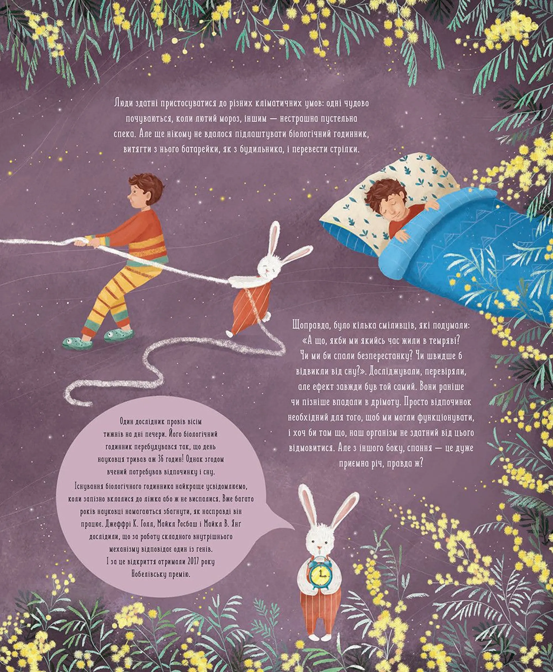 Коли настає ніч