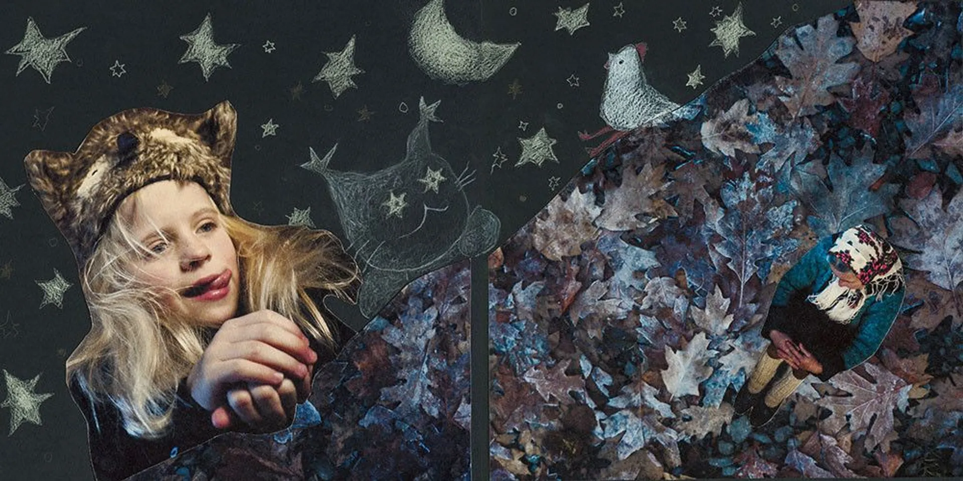 Сузір'я Курки