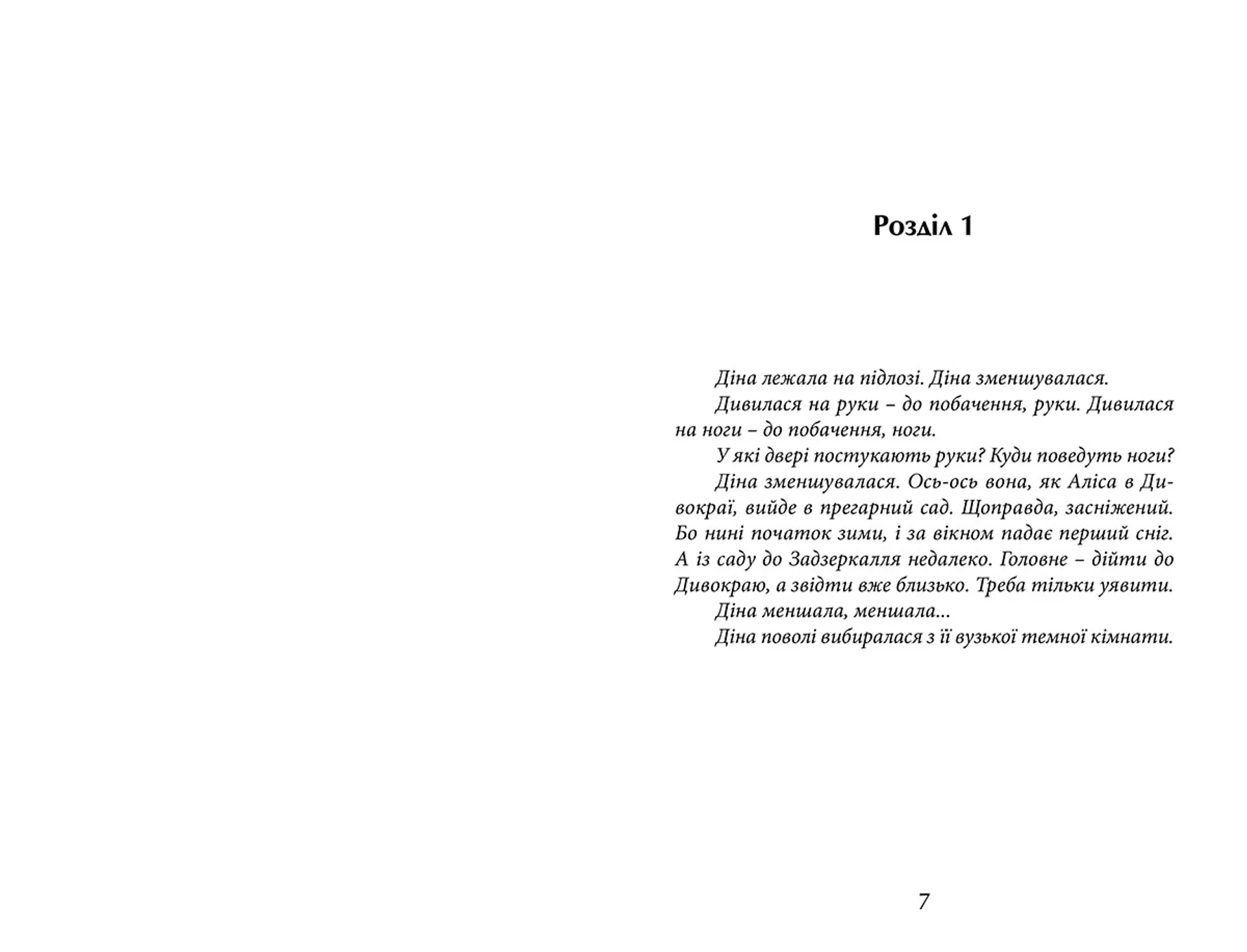 Задзеркалля