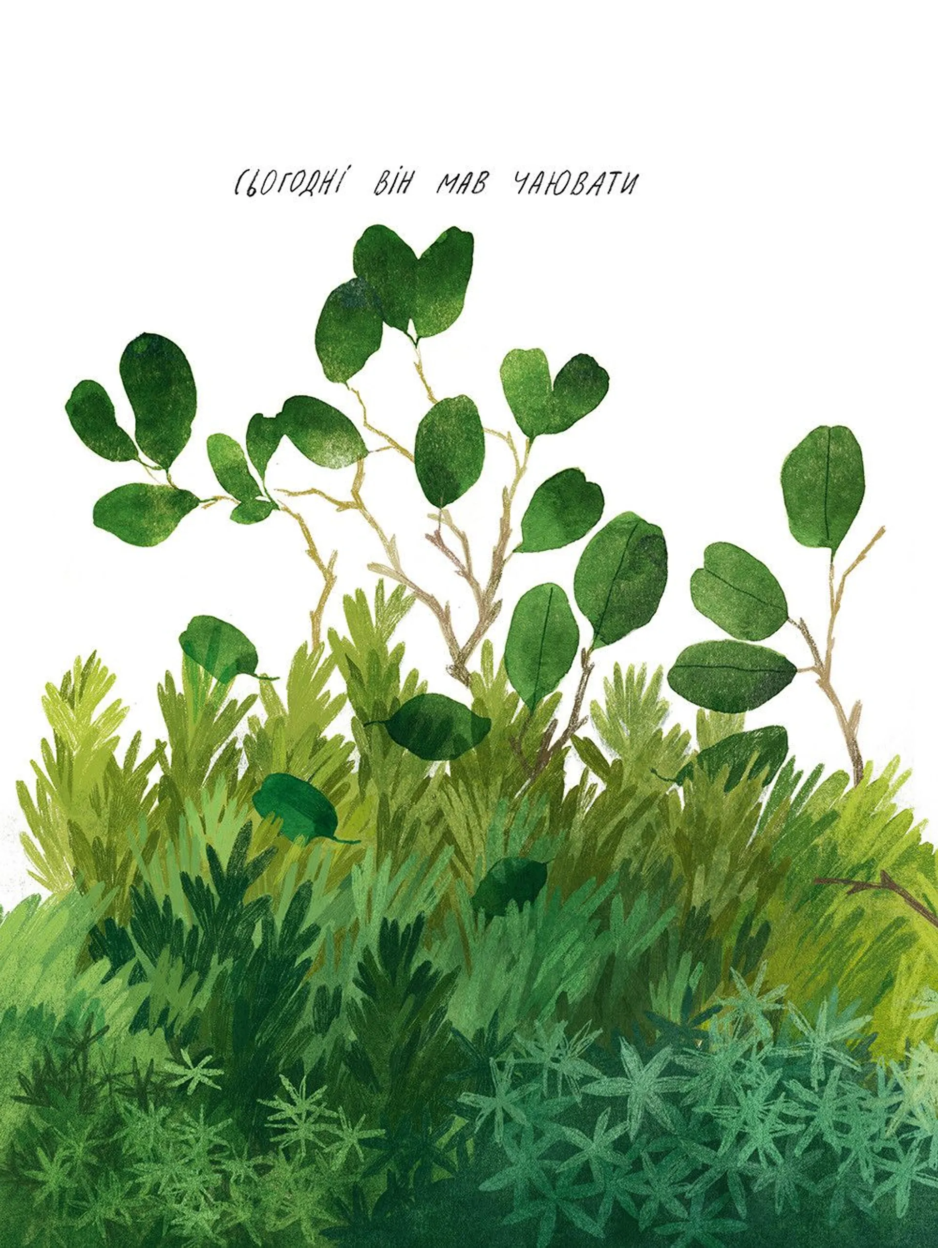 Туконі - мешканець лісу