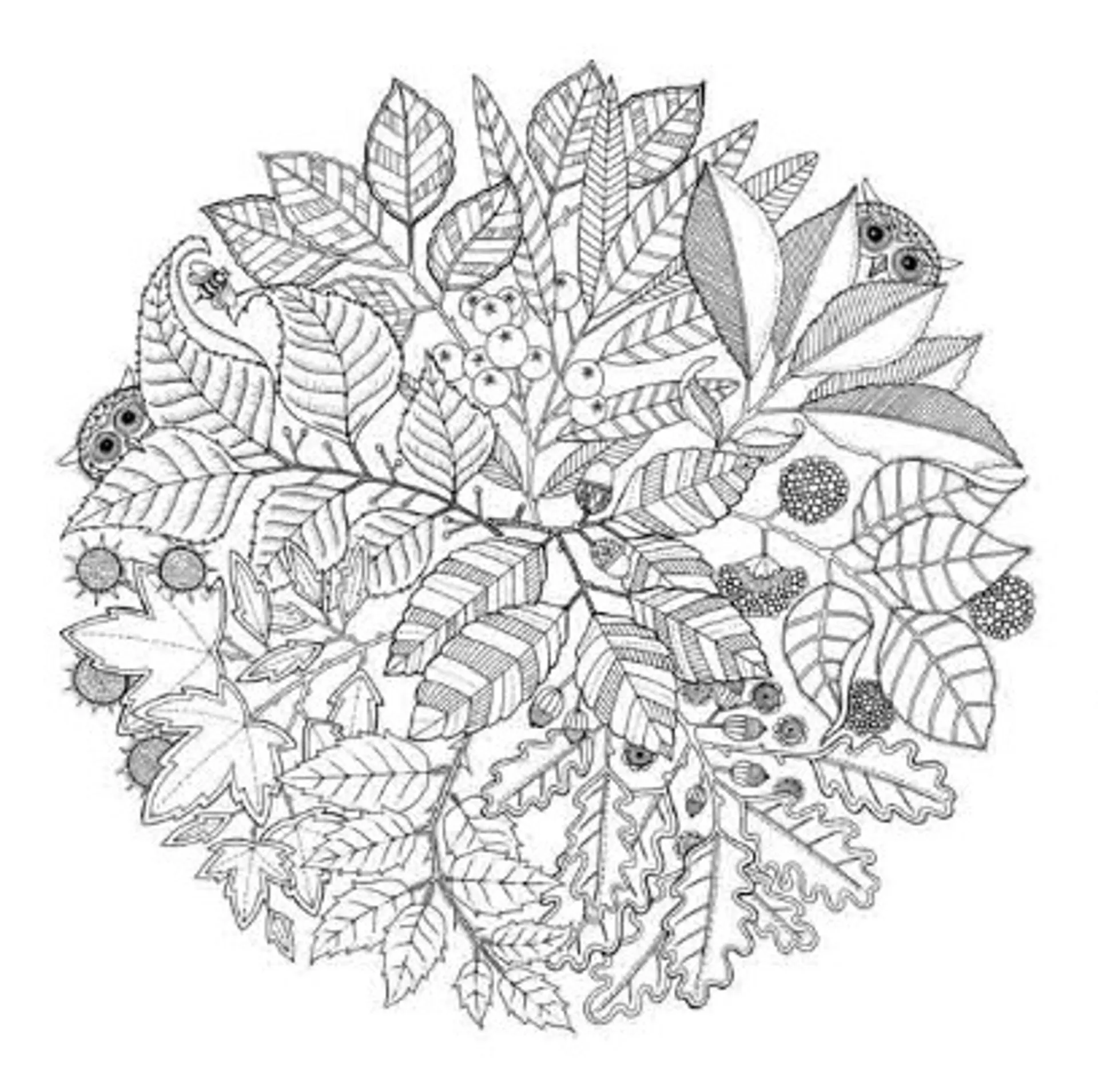 Чарівний сад