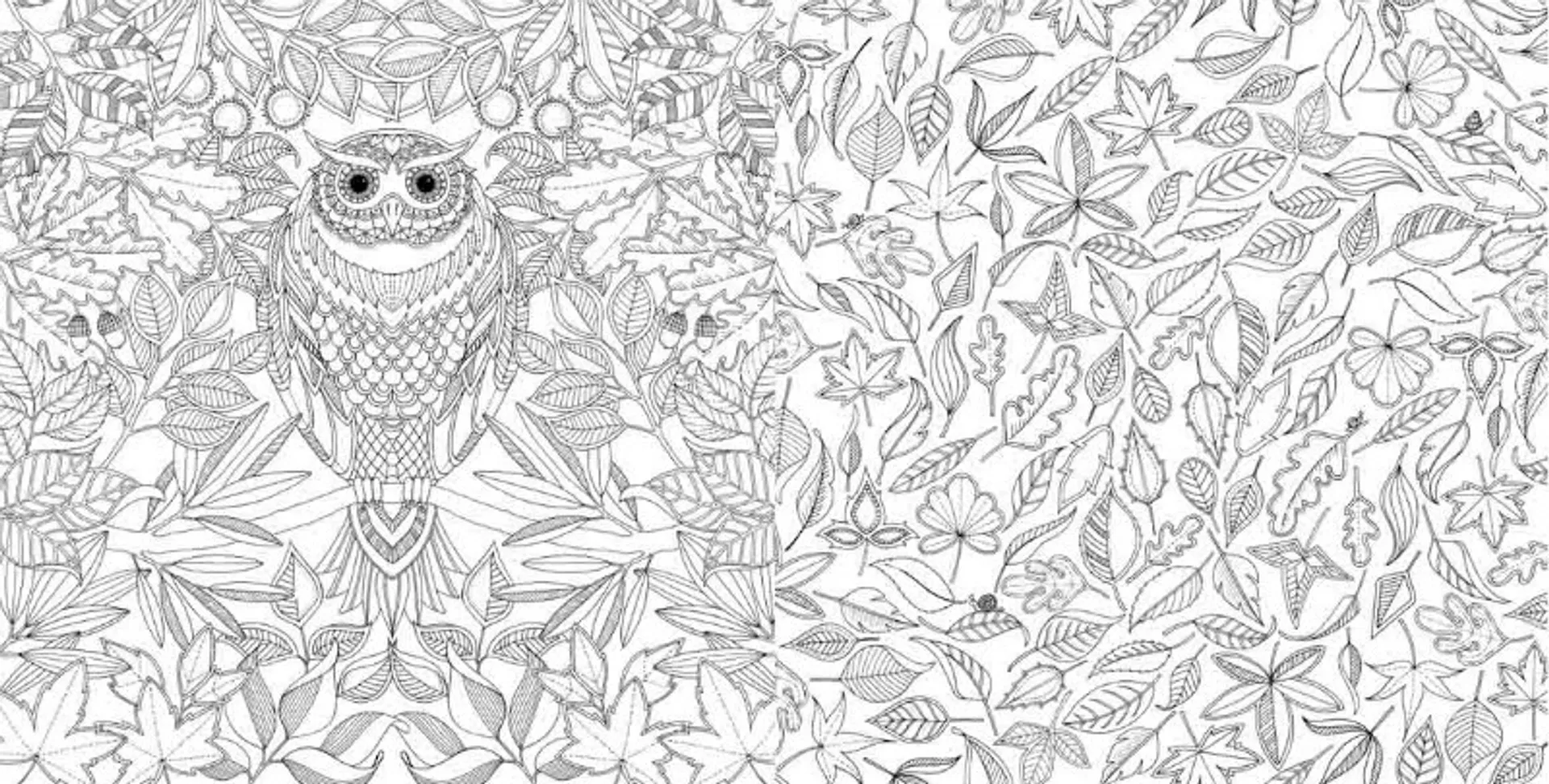 Чарівний сад