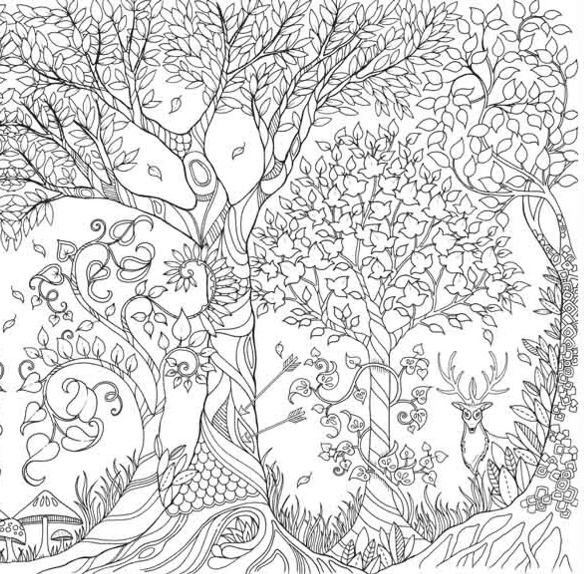 Зачарований ліс