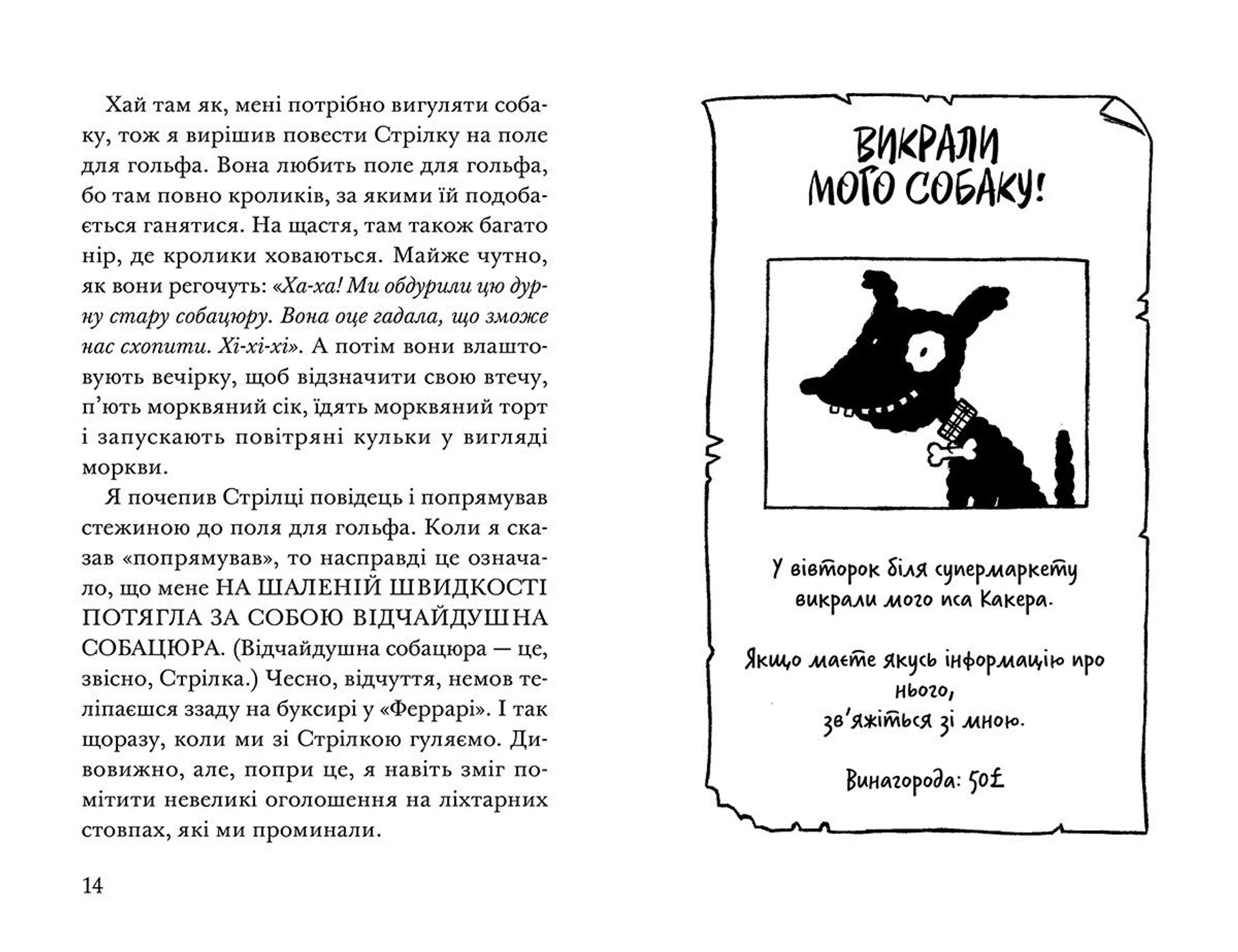 Ракета на чотирьох лапах під прикриттям. Книга 4
