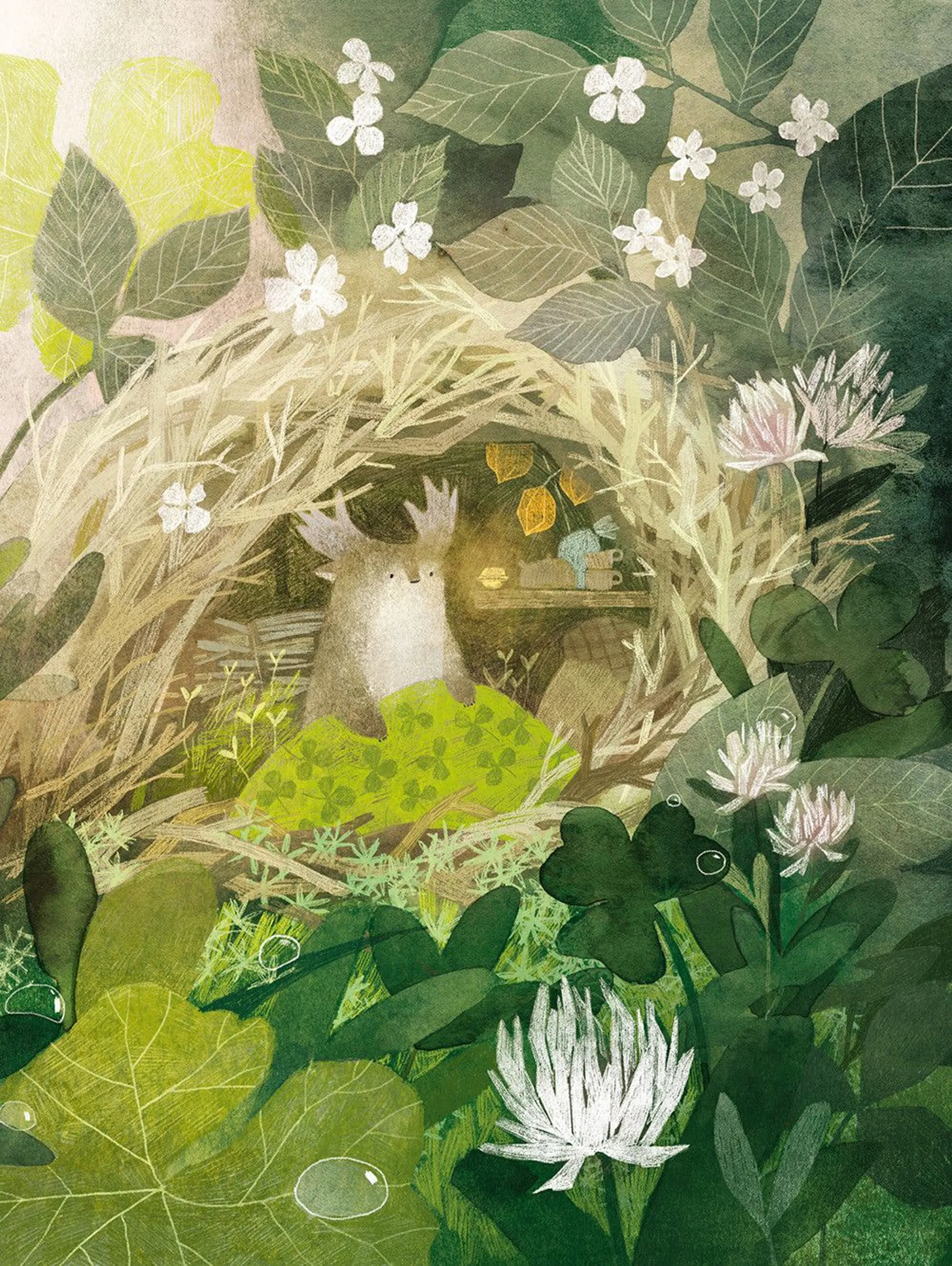 Туконі - мешканець лісу