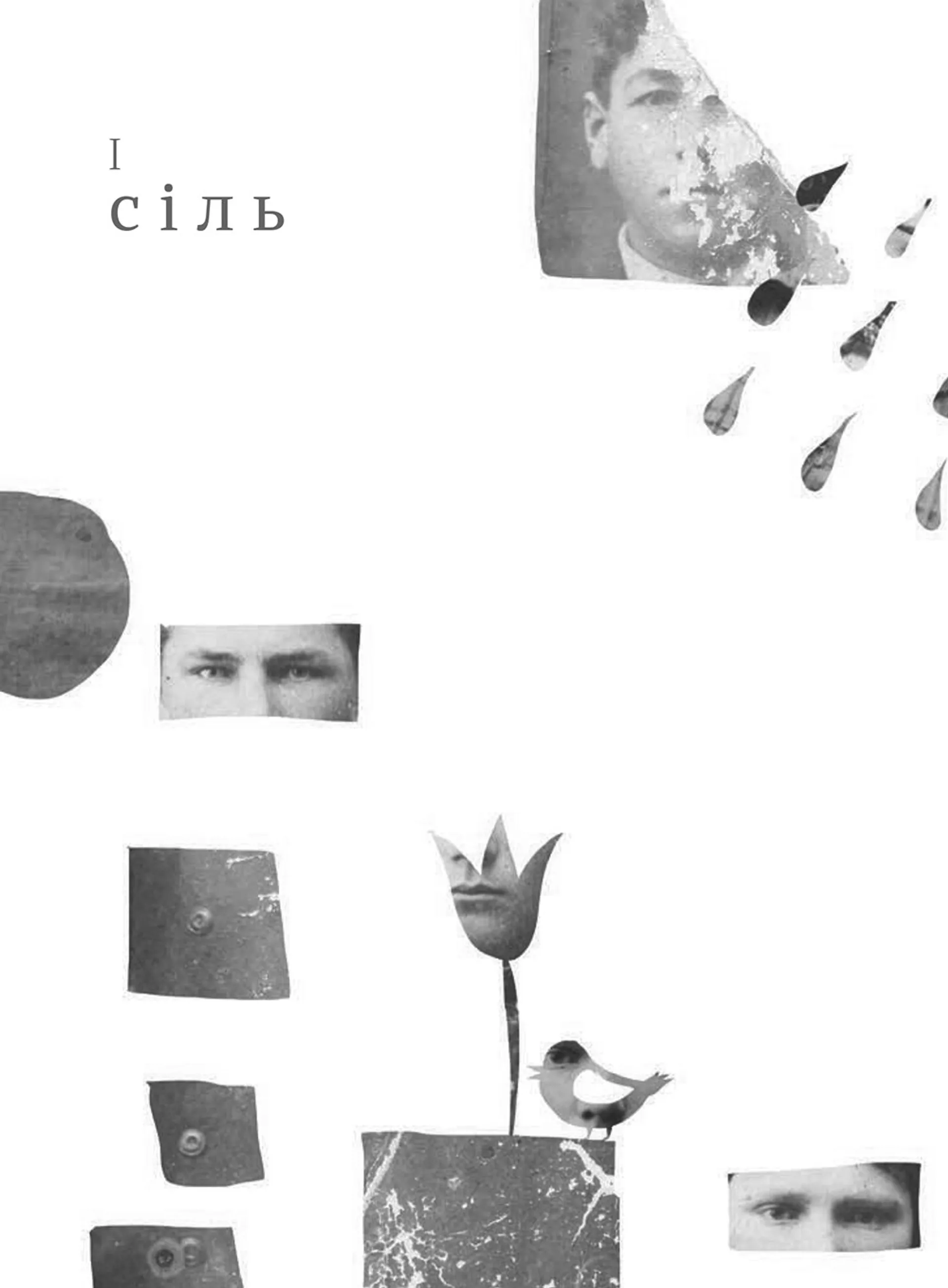 каміньсадліс