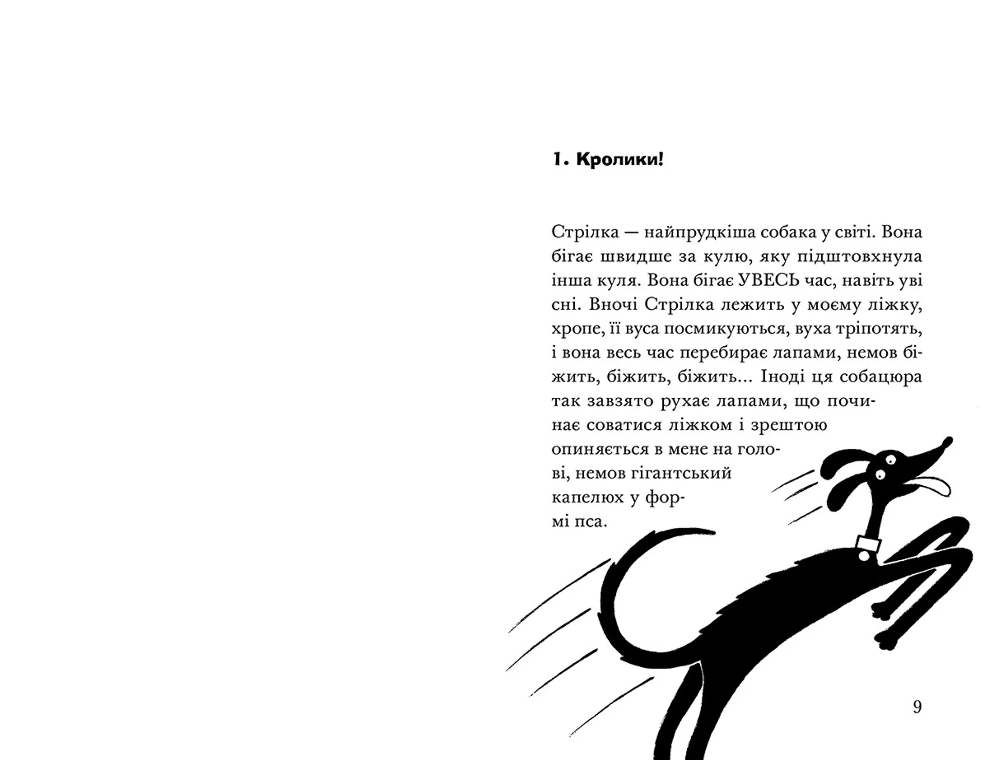 Ракета на чотирьох лапах під прикриттям. Книга 4