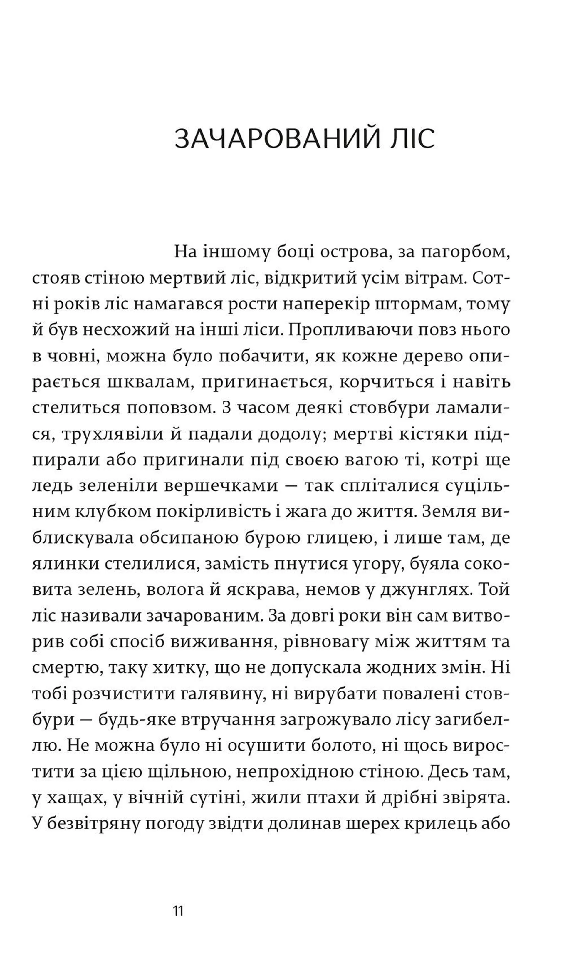 Літня книжка