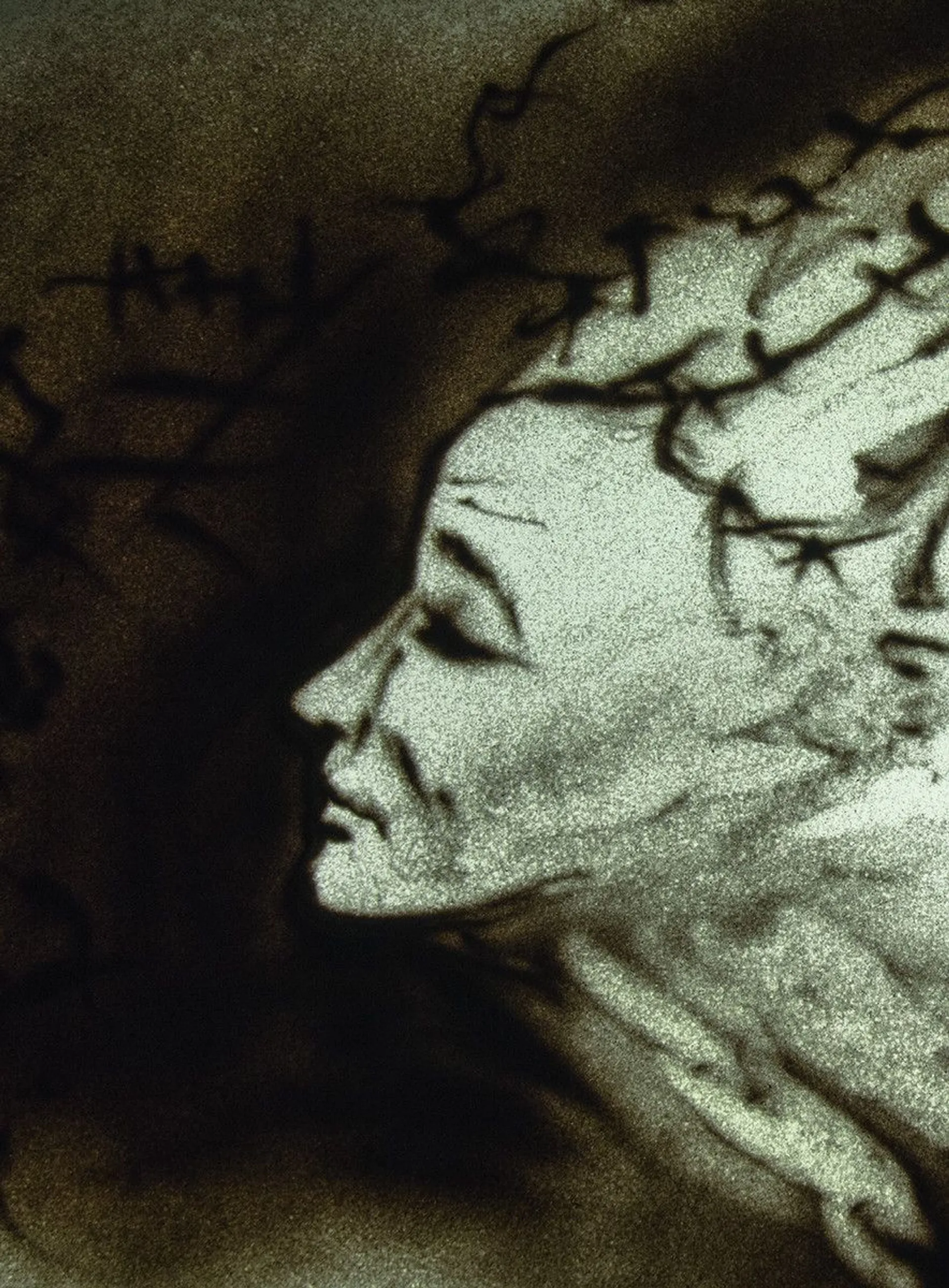 Речі, що лишилися від дому