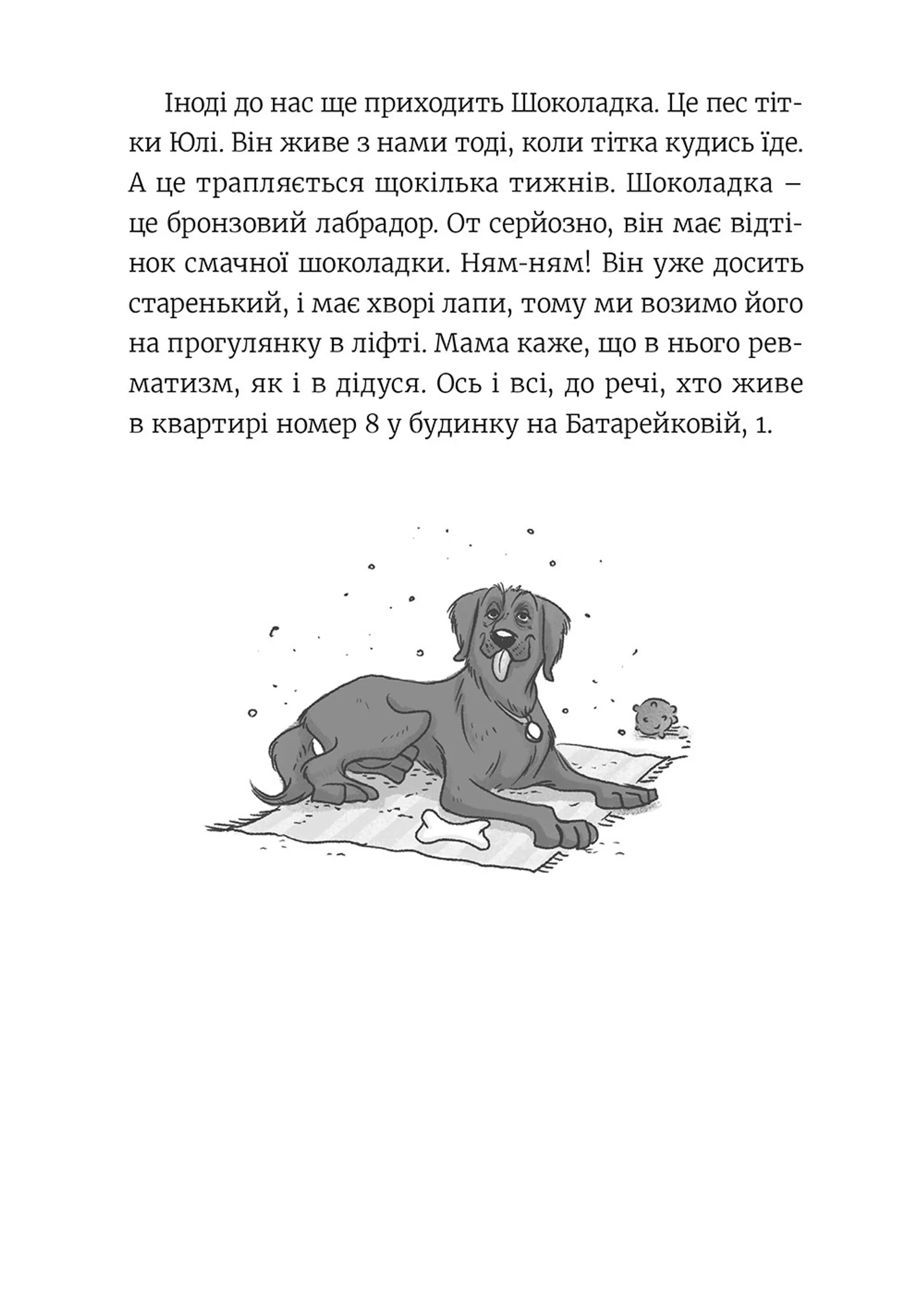 Емі і таємний клуб супердівчат. Книга 1