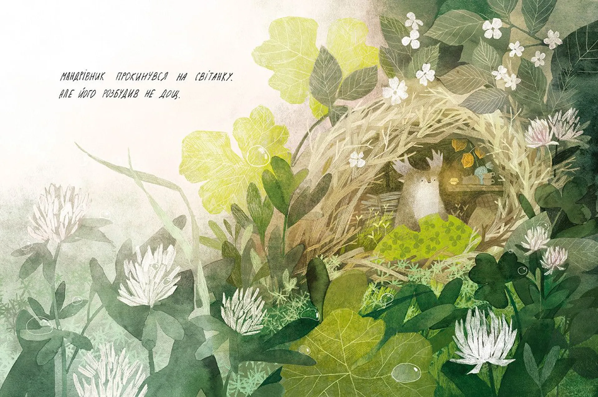 Туконі - мешканець лісу