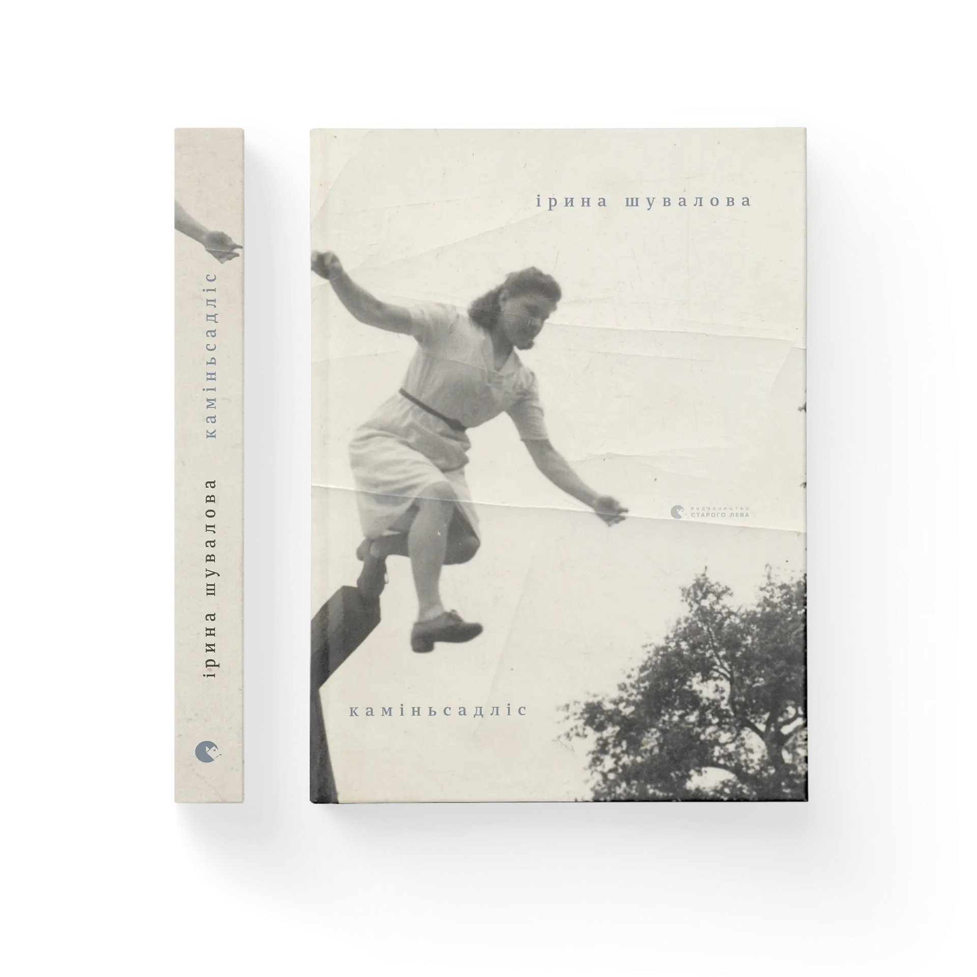 каміньсадліс