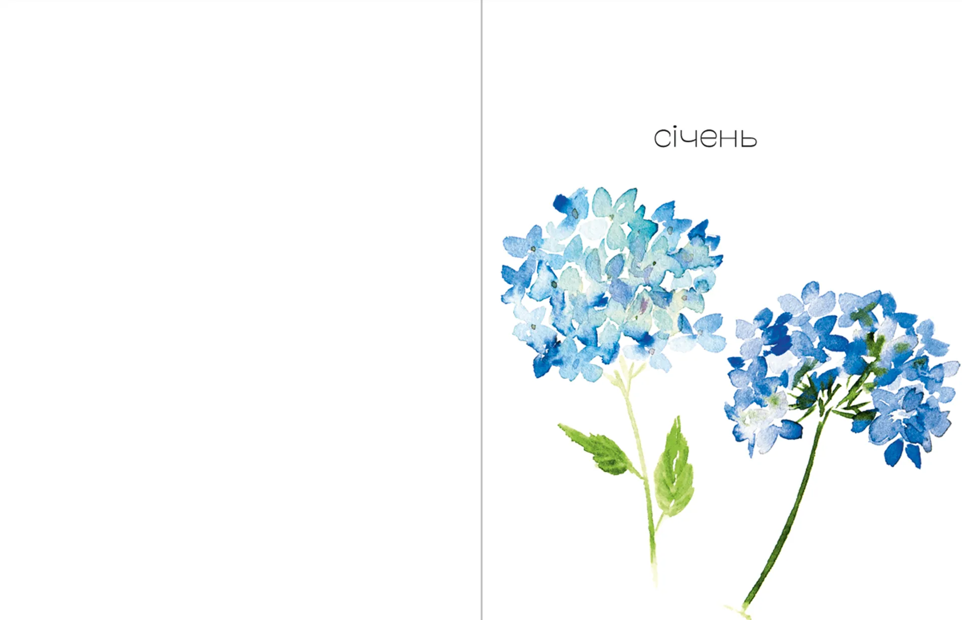 Арт-нотатник Мій квітучий рік 2022