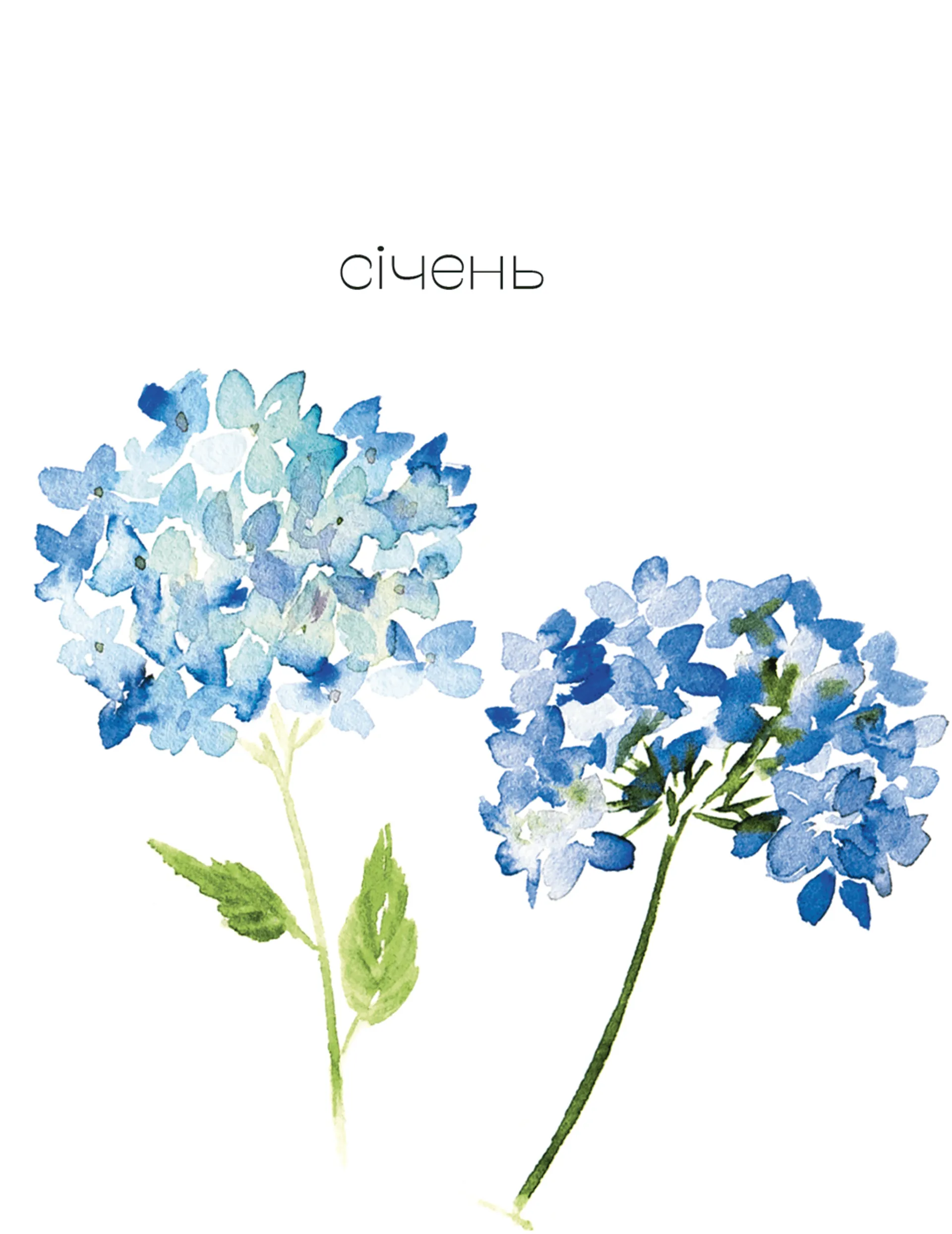 Арт-нотатник Мій квітучий рік 2022