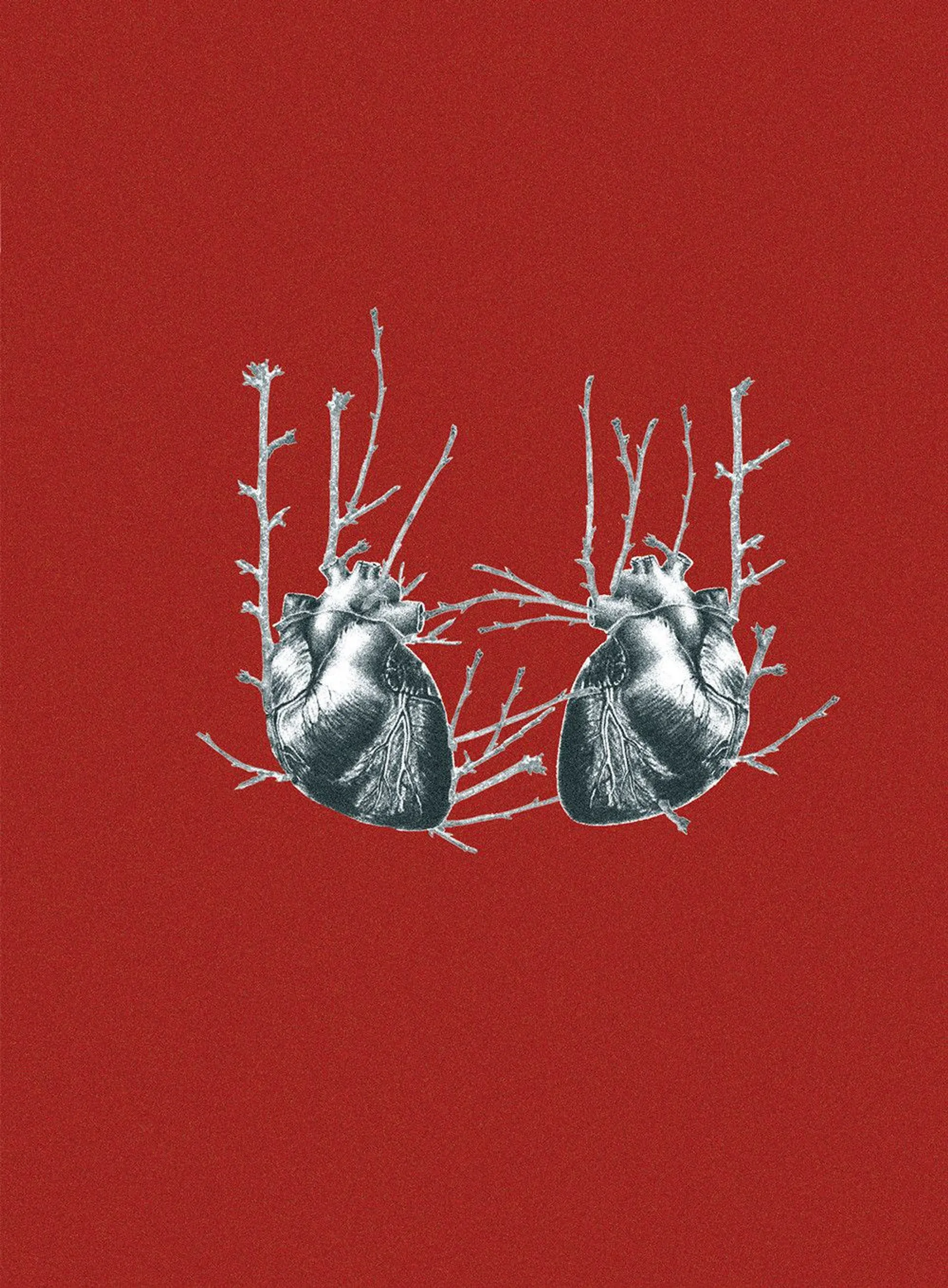 Бог свободи