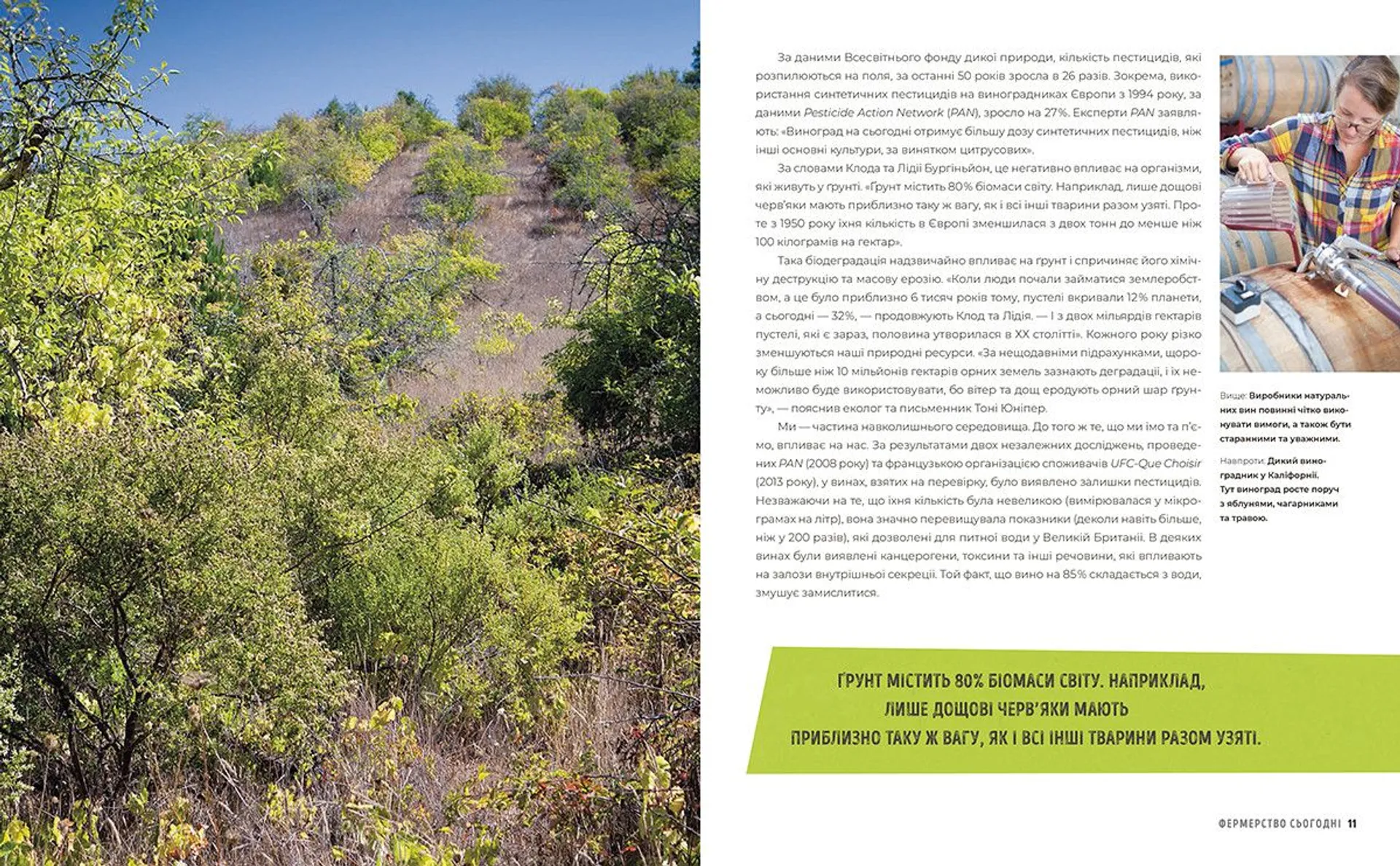 Натуральне вино