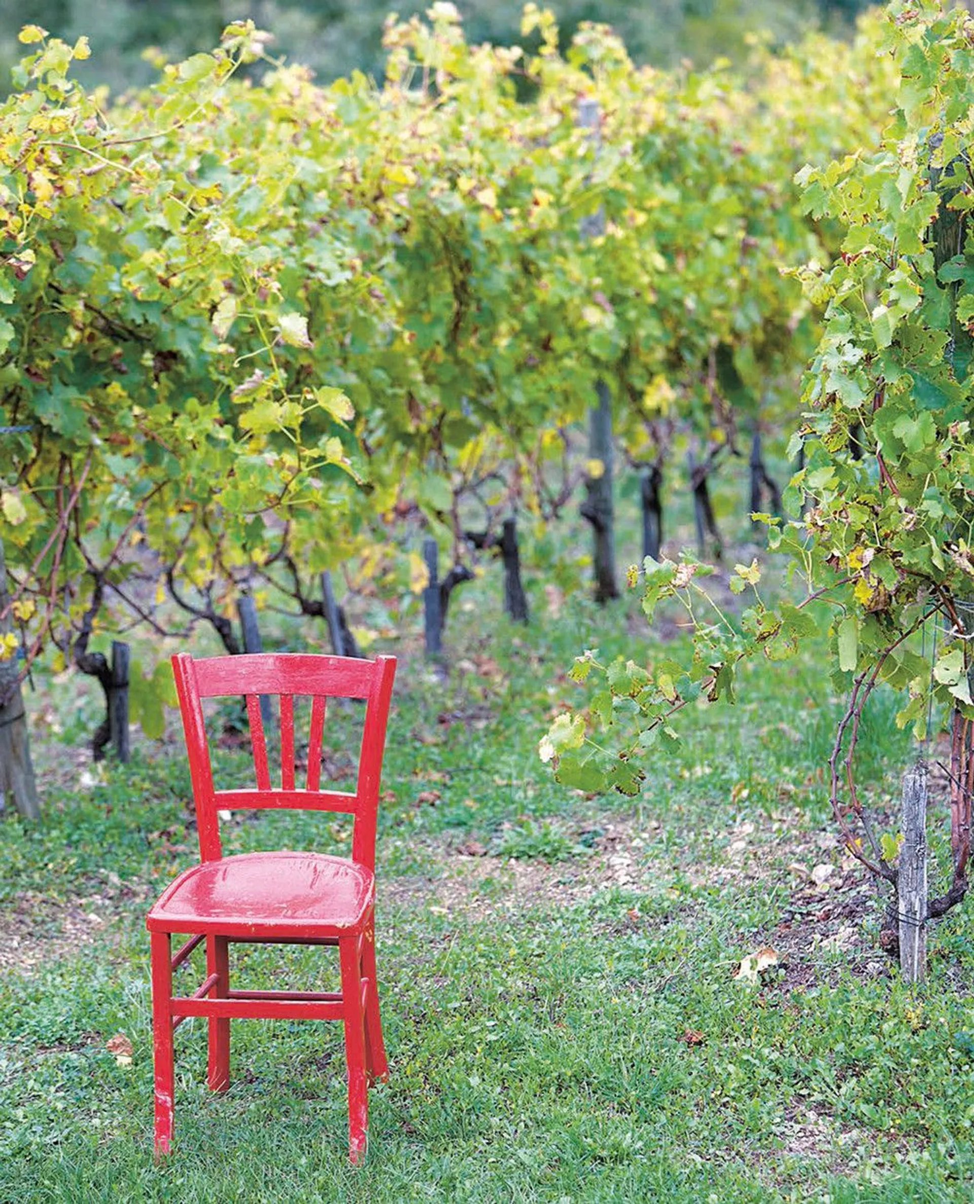 Натуральне вино