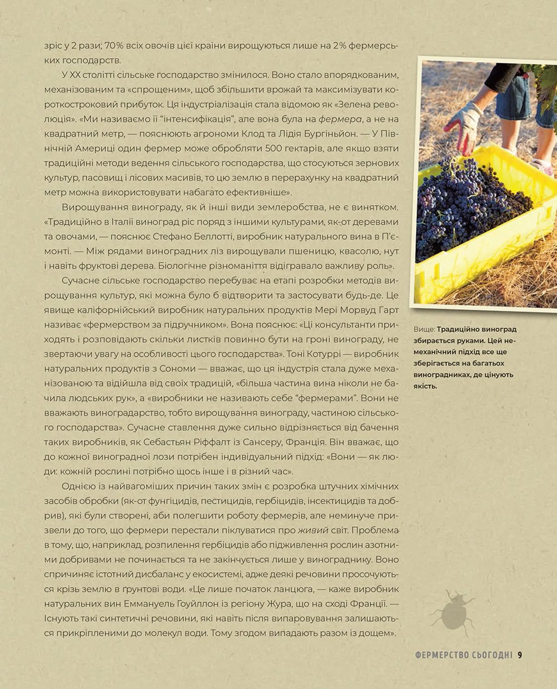 Натуральне вино