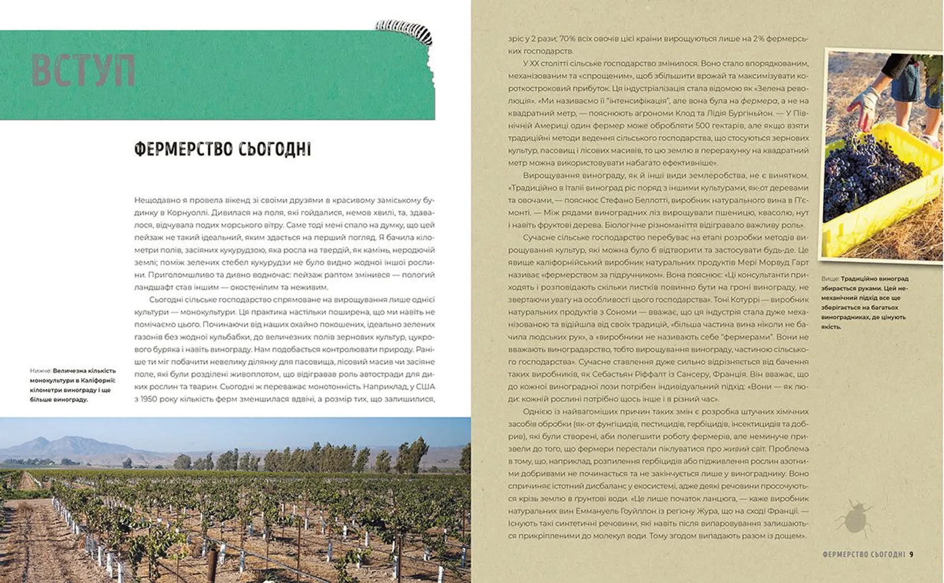 Натуральне вино