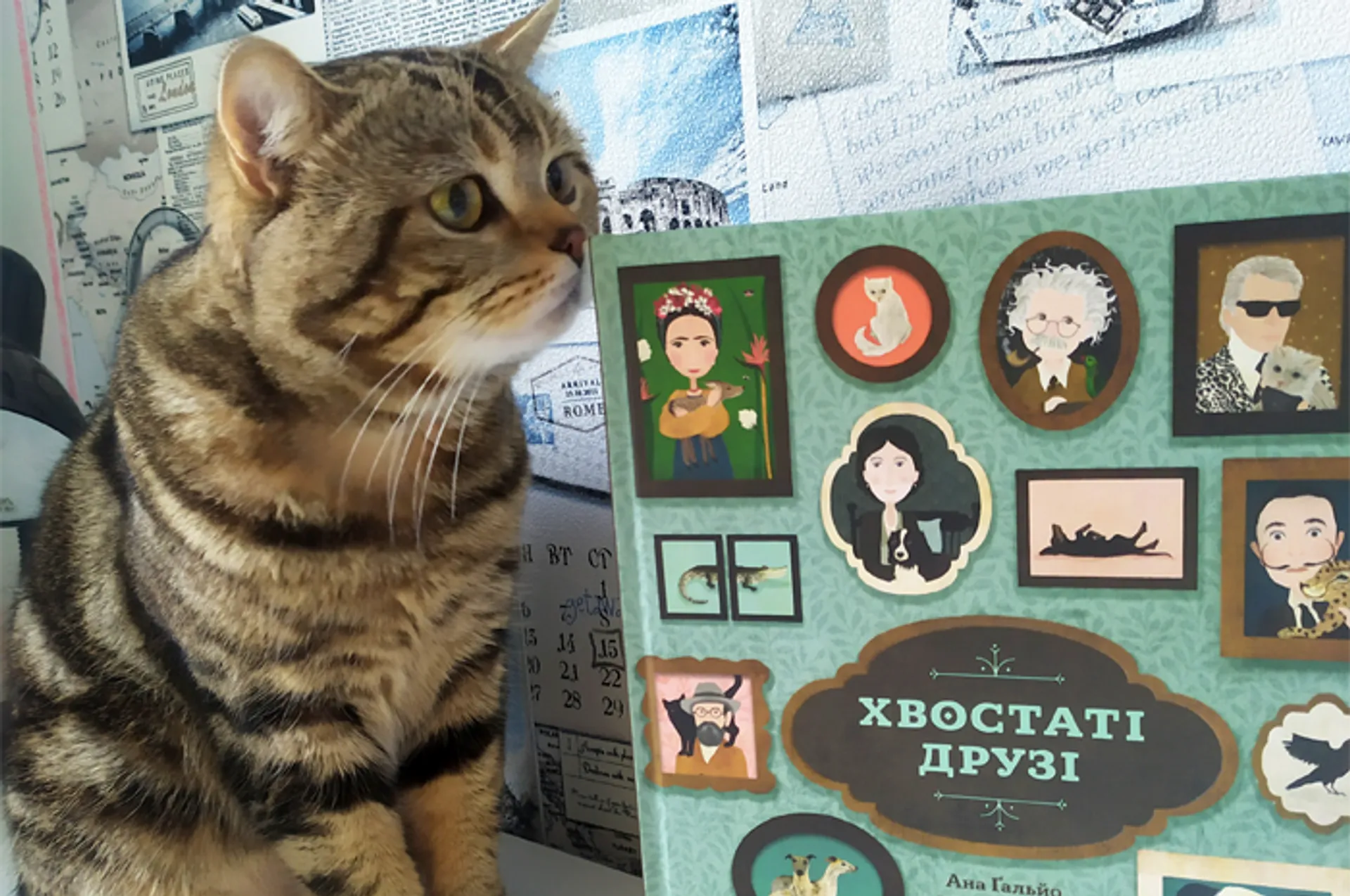 ВУСО-ЛАПО-ХВІСТ, Або 7 цікавих фактів із книги Ани Ґальйо «Хвостаті друзі»